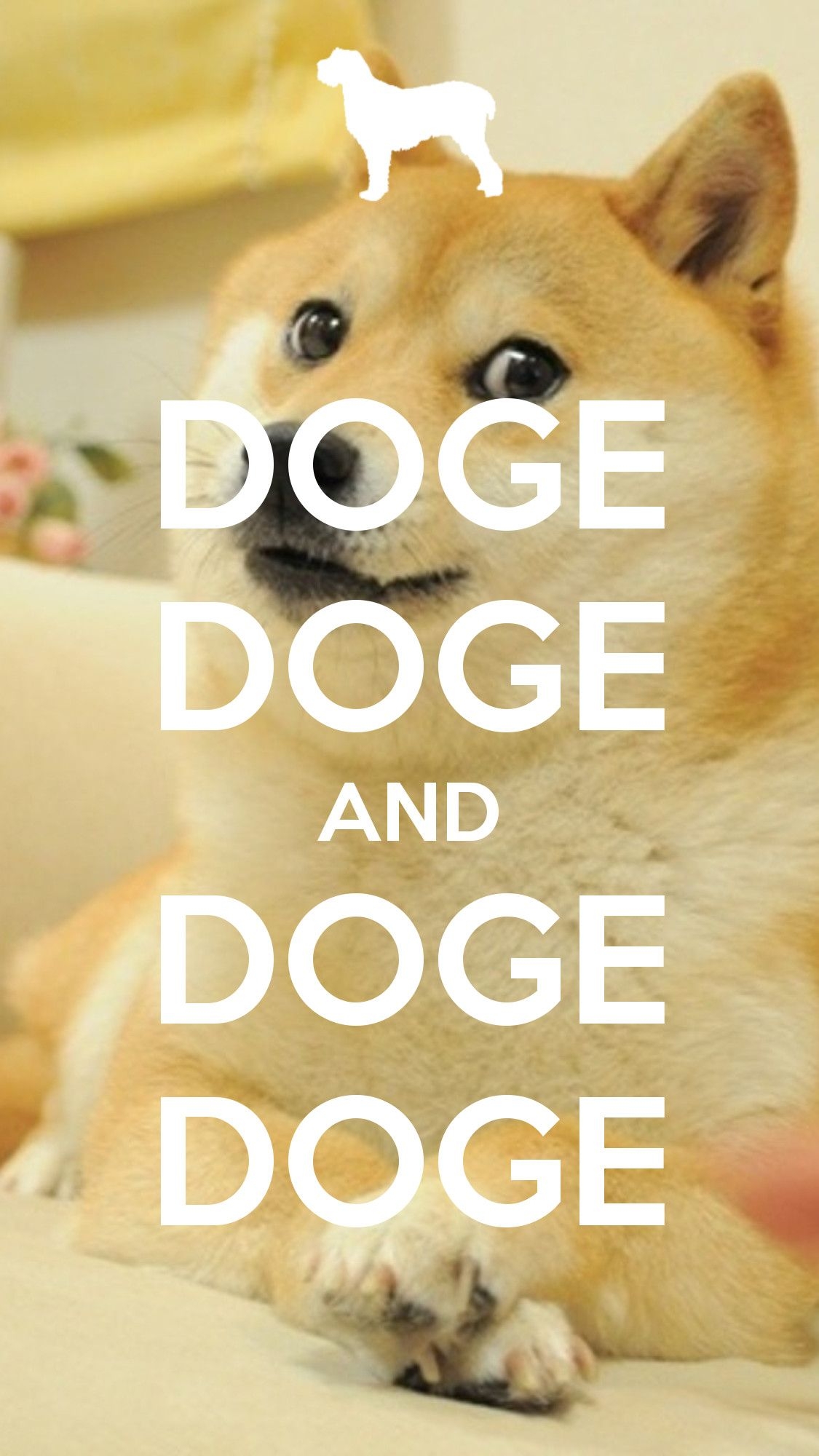 1130x2000 Cool Doge Wallpaper, Phone