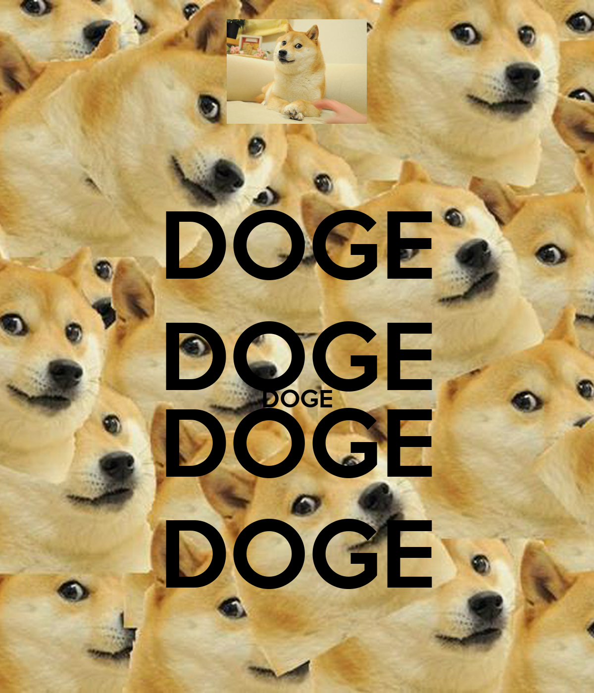 1200x1400 Doge IPhone 5 Wallpaper. My Sims 3 Downloads, Phone