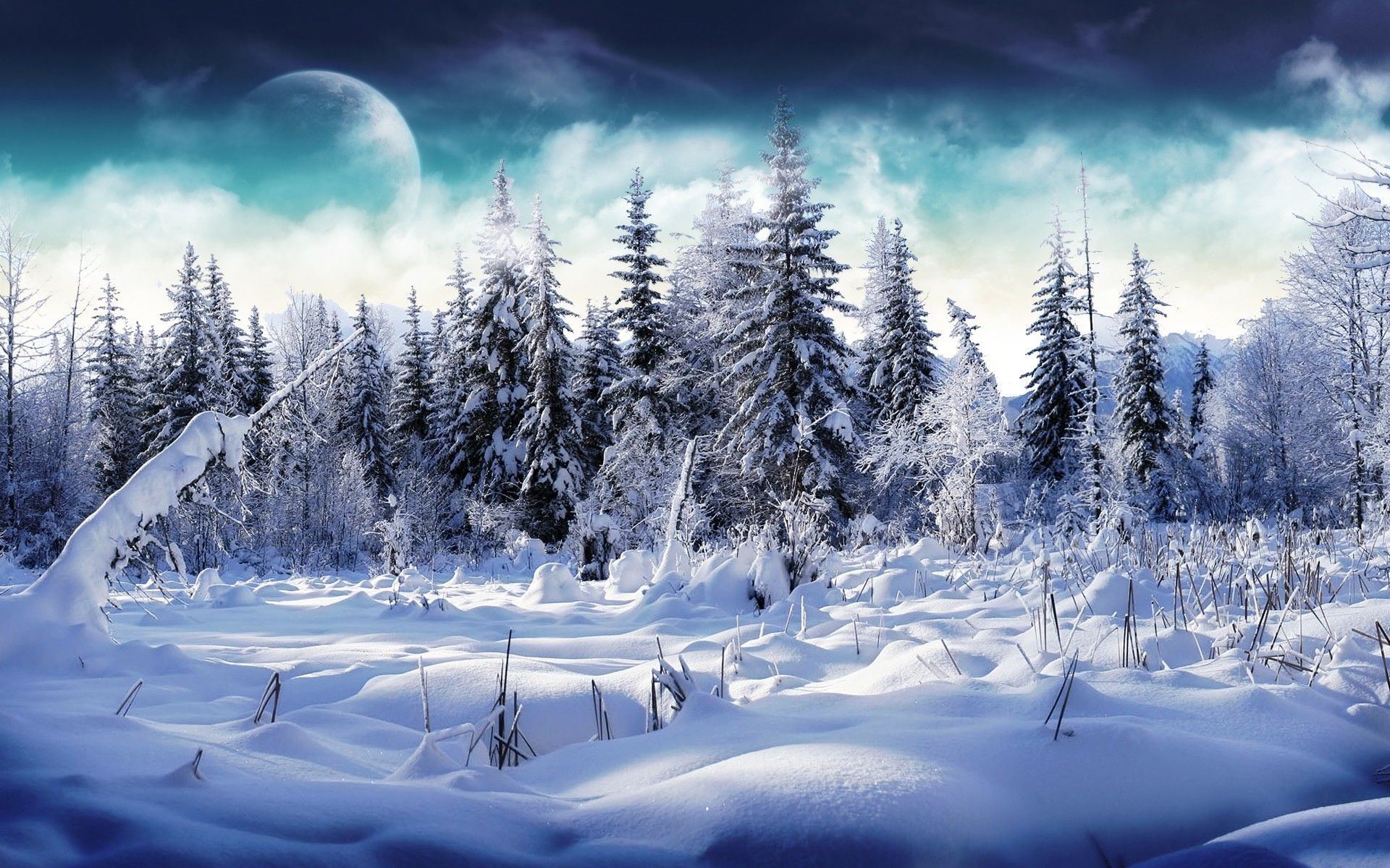 1920x1200 Winter Wallpaper. Cute Winter Wallpaper, Winter Wallpaper and Christmas Winter Wallpaper, Desktop