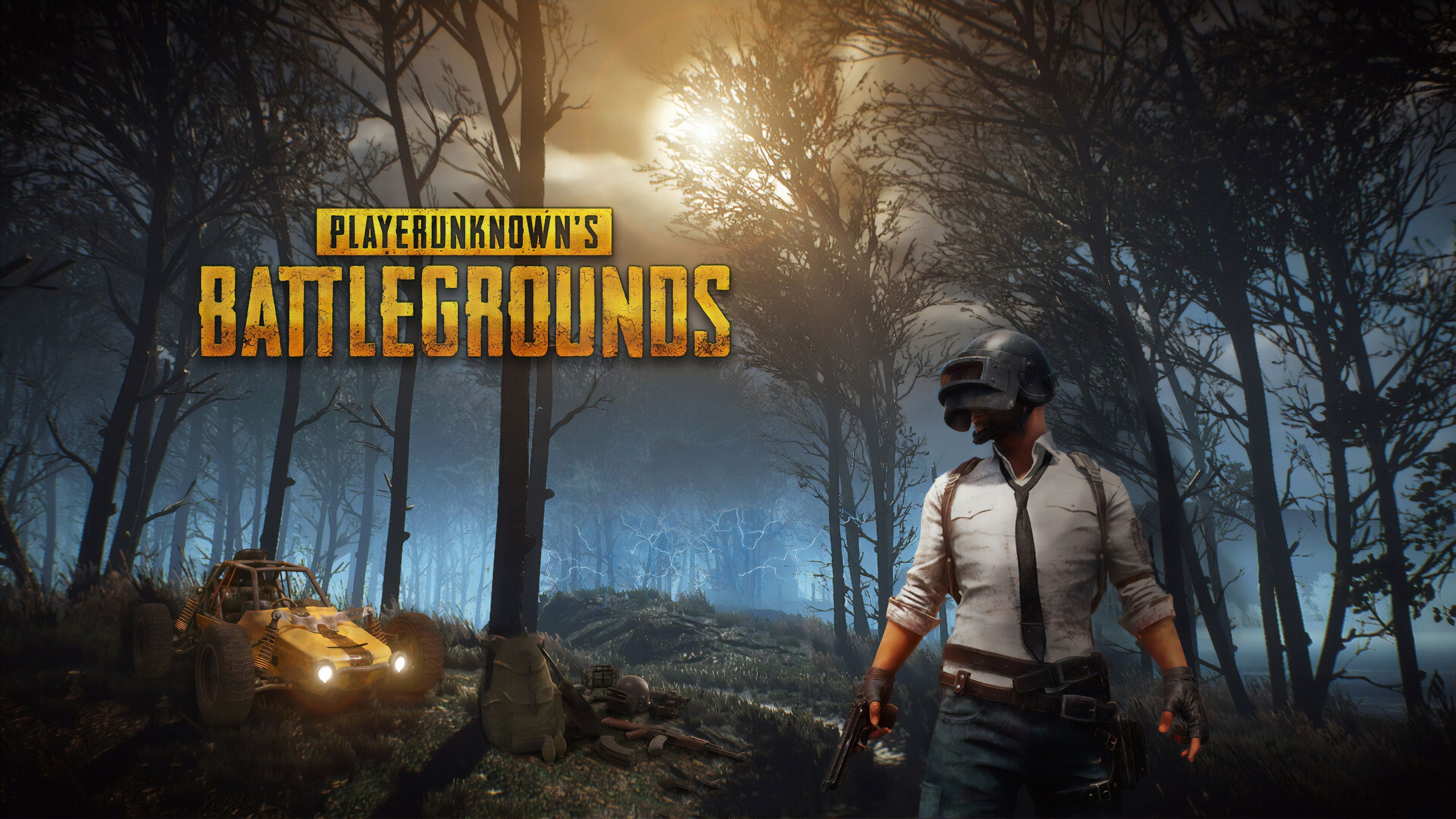 3840x2160 Pubg 2019 New pubg wallpaper, playerunknowns battlegrounds wallpaper, hd- wallpaper, gam. HD wallpaper for pc, HD wallpaper, Wallpaper for computer background, Desktop