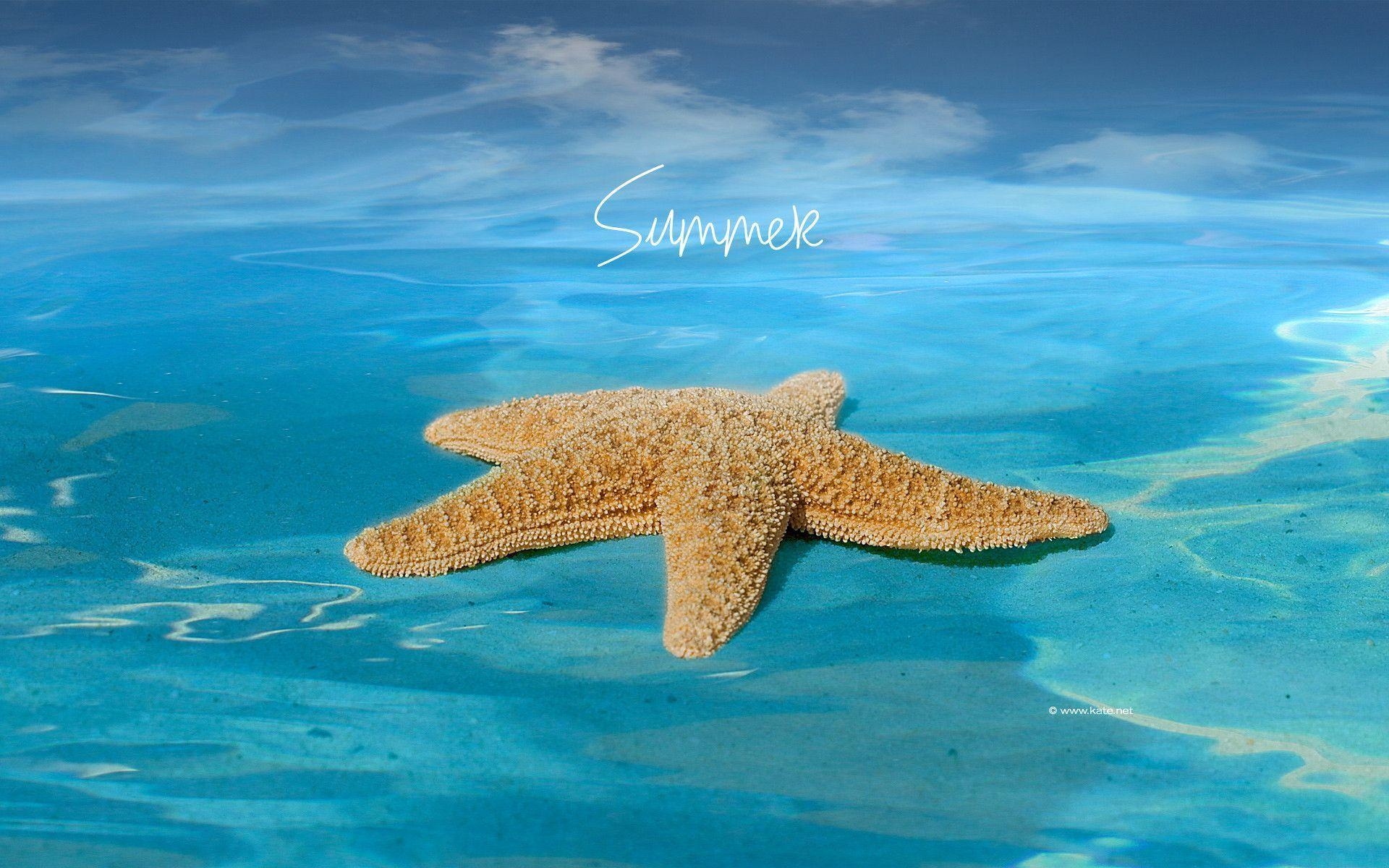 1920x1200 Summer Wallpaper 2012, Desktop