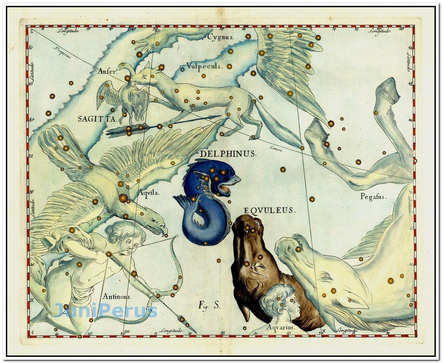 1510x1250 Delphinus and Equuleus (Stars heightened in gold) Map Maker, Desktop