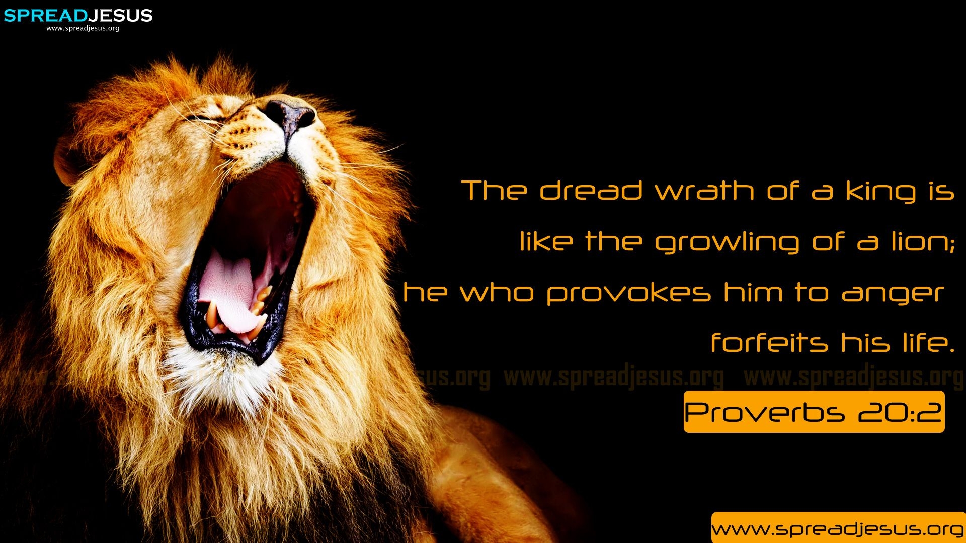 1920x1080 Bible Quotes From The Lion. QuotesGram, Desktop