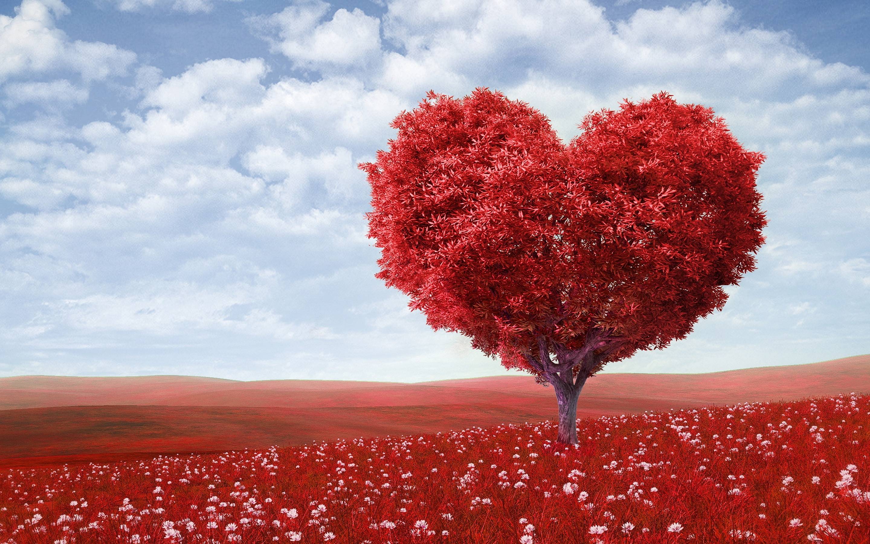 2880x1800 Red heart tree Wallpaper, Desktop