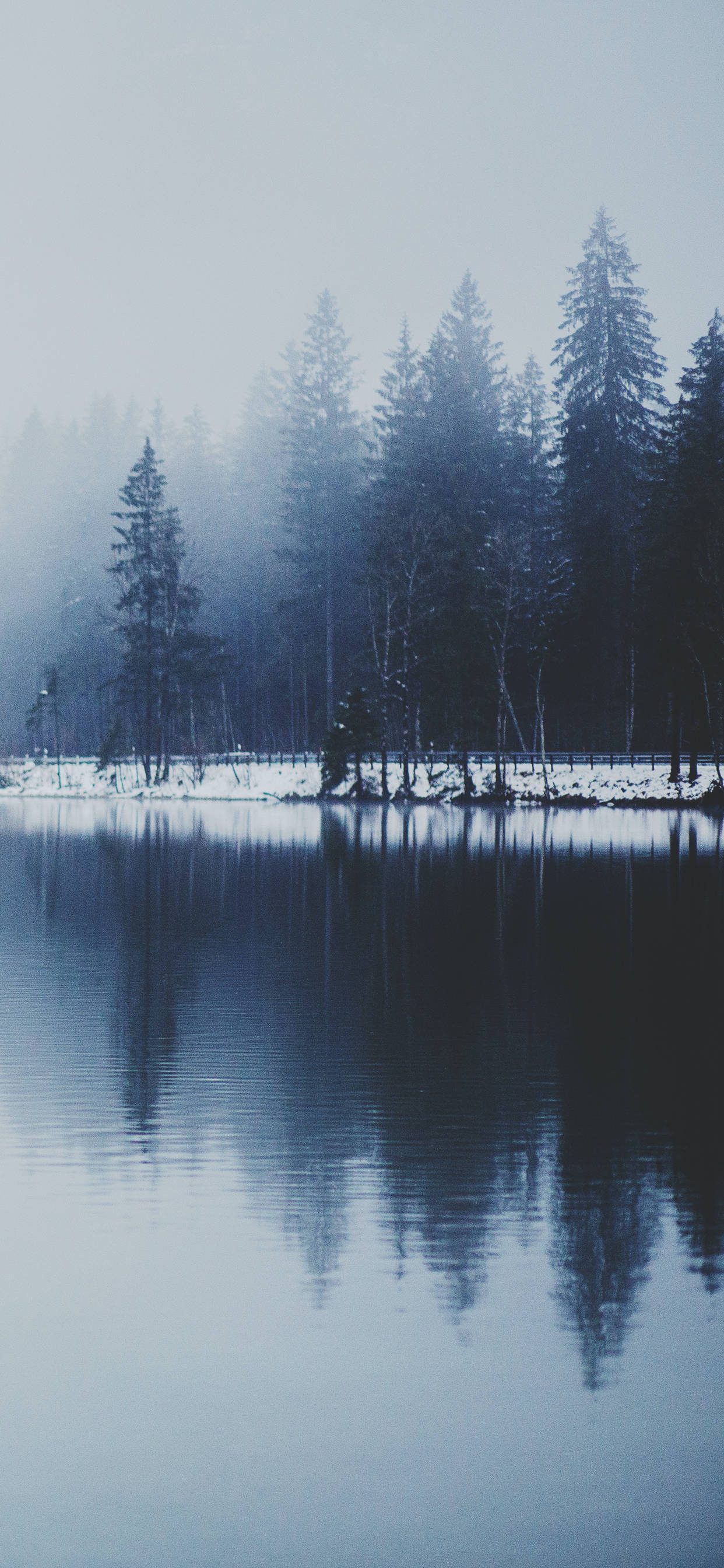 1250x2690 Download Winter iPhone Misty Lake Wallpaper, Phone