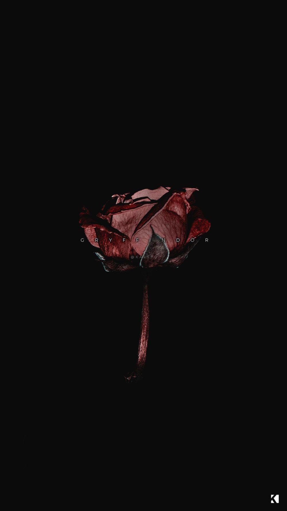 1000x1780 Dark Aesthetic Wallpaper Free Dark Aesthetic, Phone