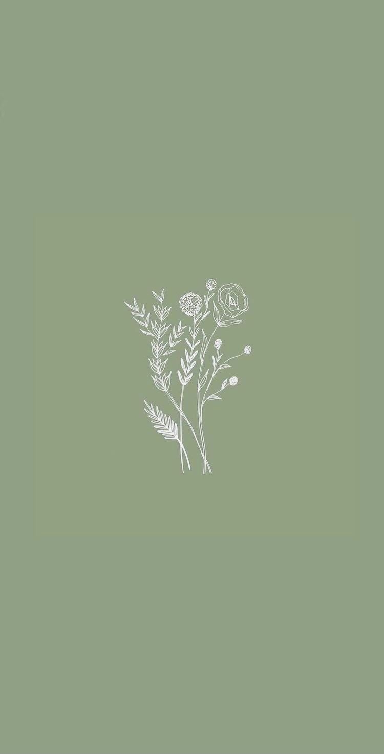 750x1480 Basteln. Simplistic wallpaper, Sage green wallpaper, Green wallpaper, Phone