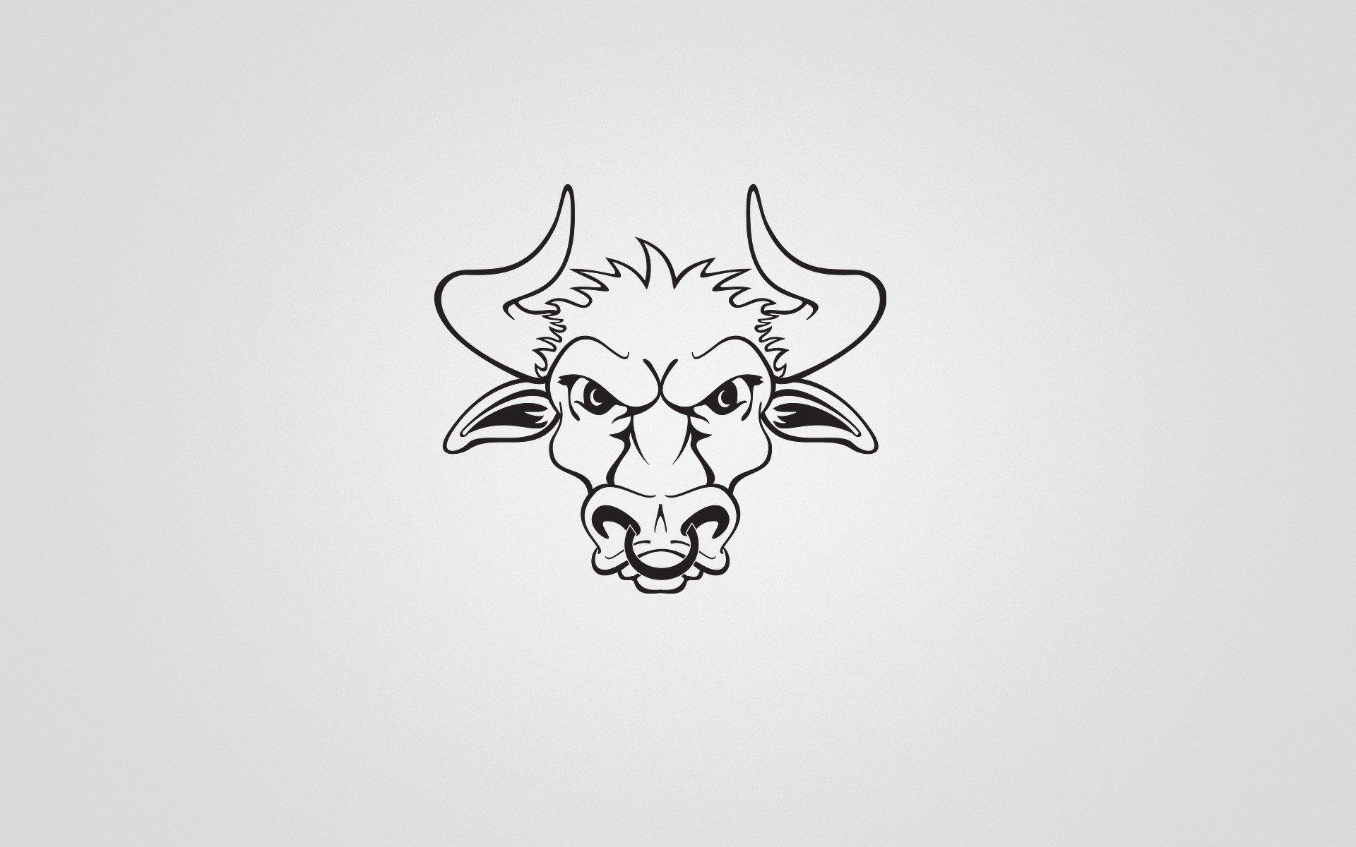 1920x1200 Wide HD Bull Wallpaper. FLGX HD.52 KB, Desktop