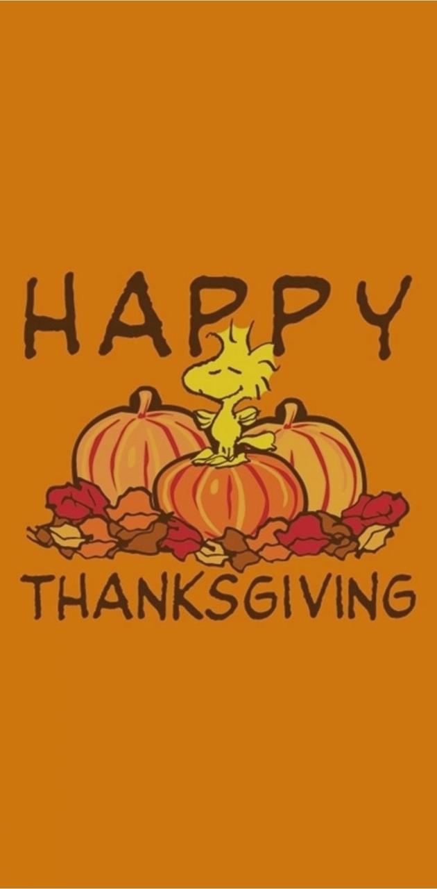 630x1280 Peanuts Thanksgiving wallpaper, Phone