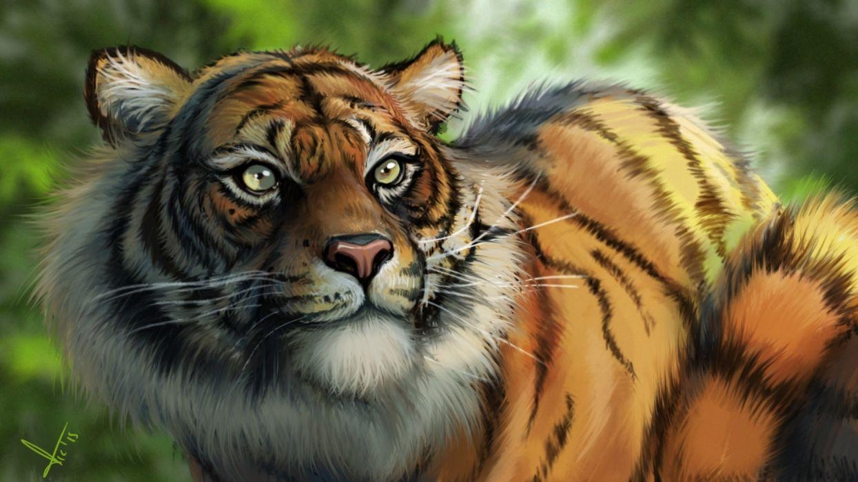 1250x700 Fantasy art artwork tiger predator carnivore cat wallpaper, Desktop