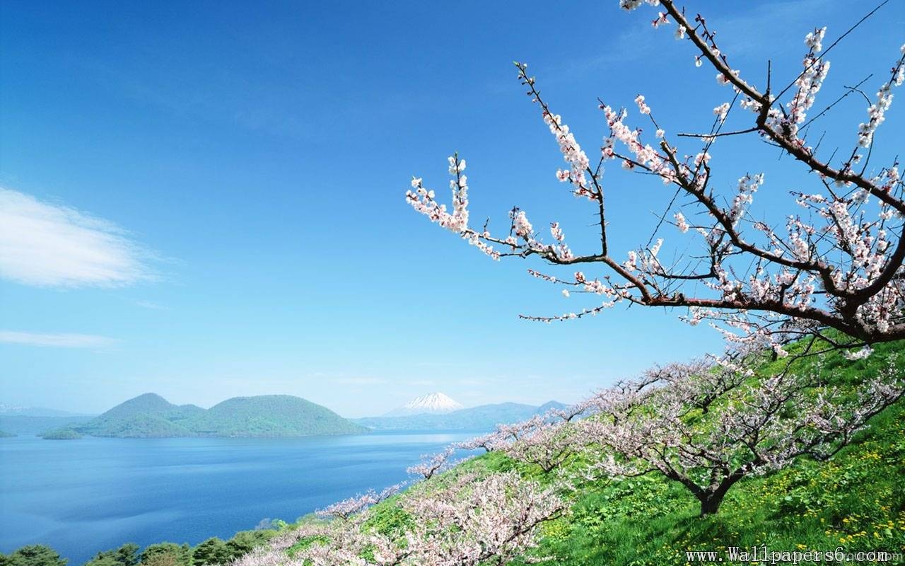 1280x800 Nature And Tourism Of Hokkaido － Landscape Wallpaper Free, Desktop