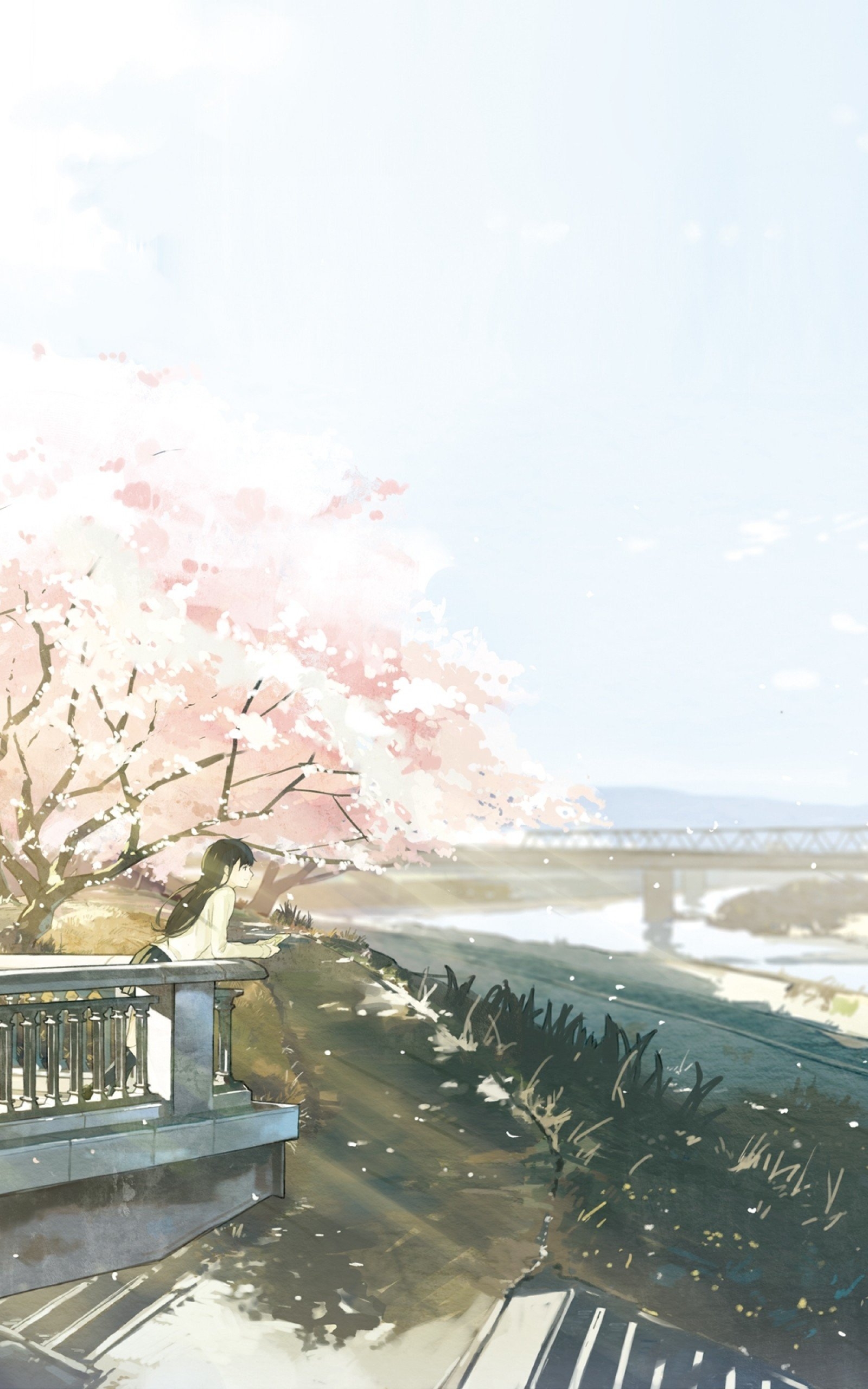 1600x2560 Download  Anime Landscape, Girl And Boy, Sakura Blossom, River, Bridge, Scenic Wallpaper for Google Nexus 10, Phone