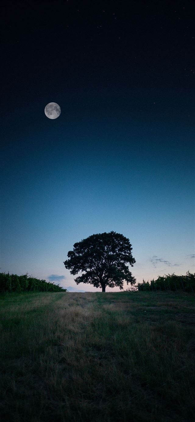 640x1390 Best nasa iPhone 12 Wallpaper HD, Phone