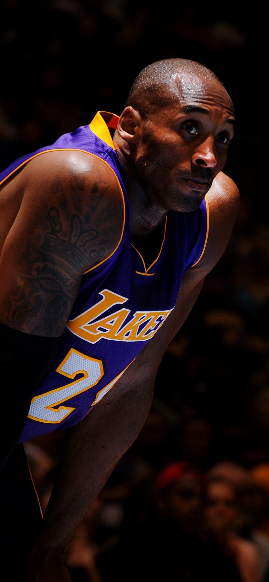 1130x2440 NBA Kobe Bryant Best Basketball Players of 2015 Lo. iPhone 11 Wallpaper Free Download, Phone