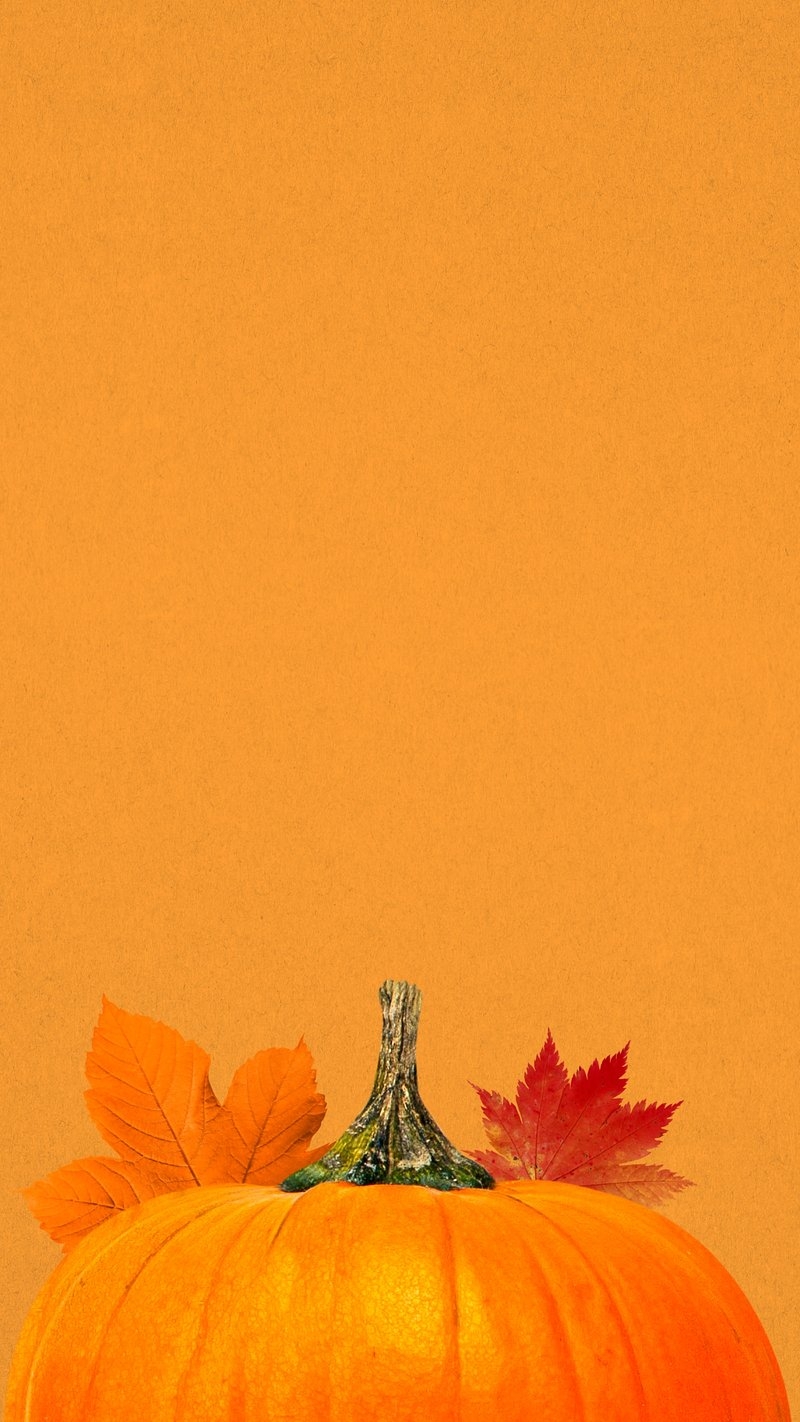 800x1430 Halloween iPhone Wallpaper. Download High Resolution Mobile Phone Background, Phone