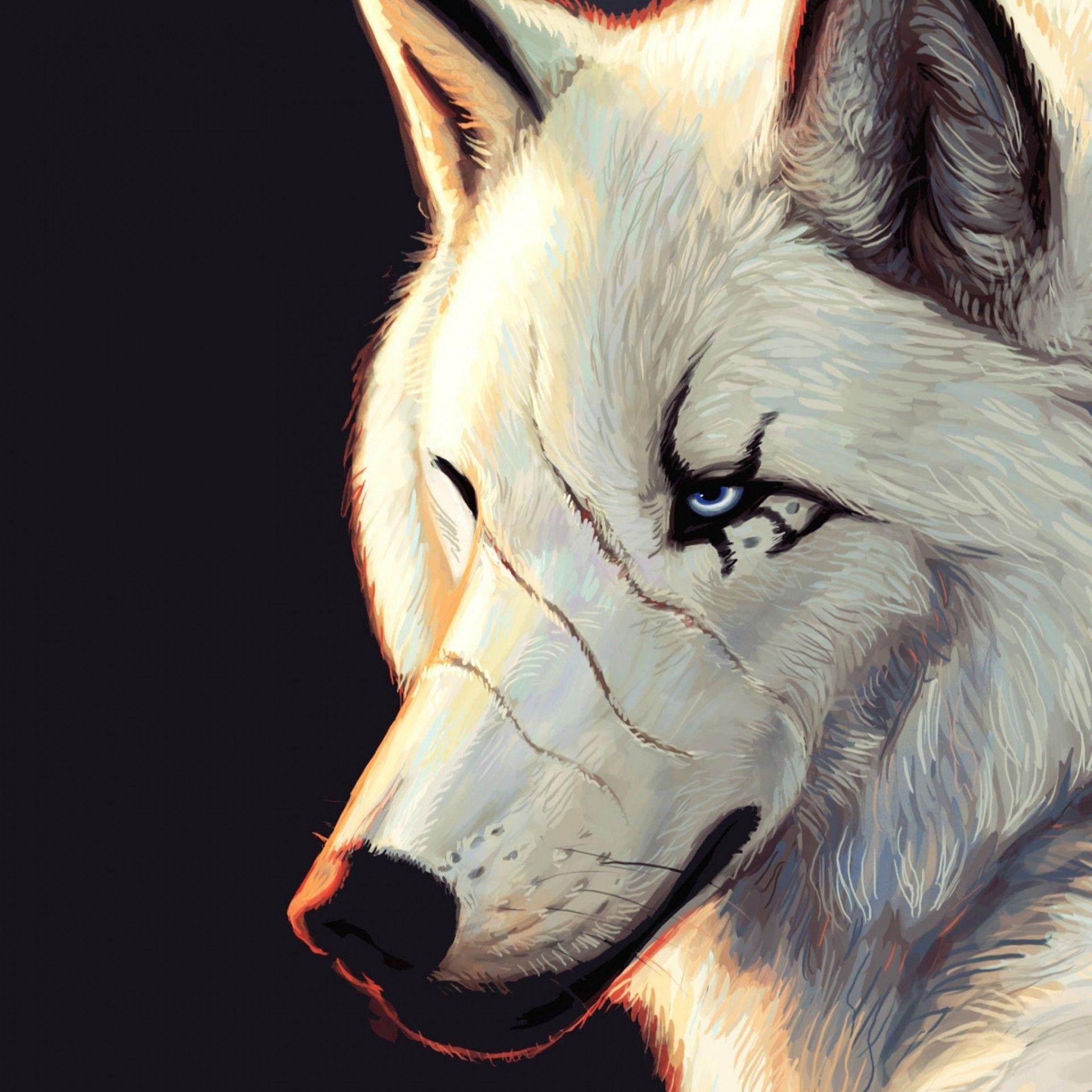 1920x1920 Animals For > Really Cool Wolf Wallpaper, Phone