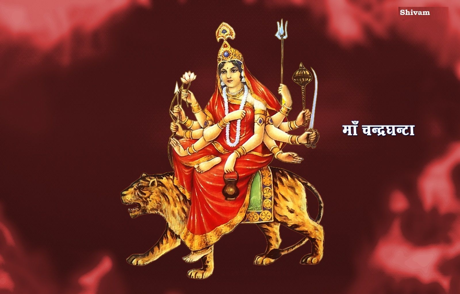 1600x1030 MaaChandraghanta We seek the blessings of Maa Chandraghanta. May She bless us with happiness & strength and may the atmosphere o. Durga, Durga goddess, Navratri, Desktop