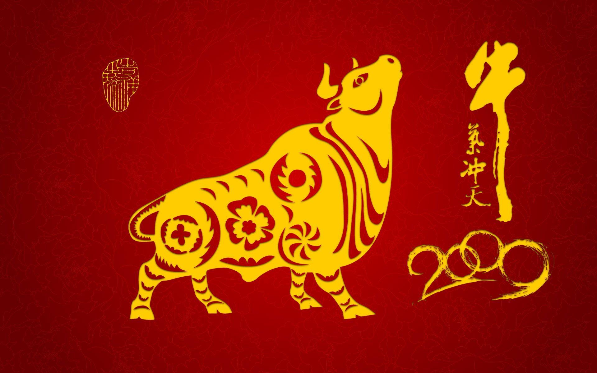 1920x1200 Bull wallpaper 6377, Desktop