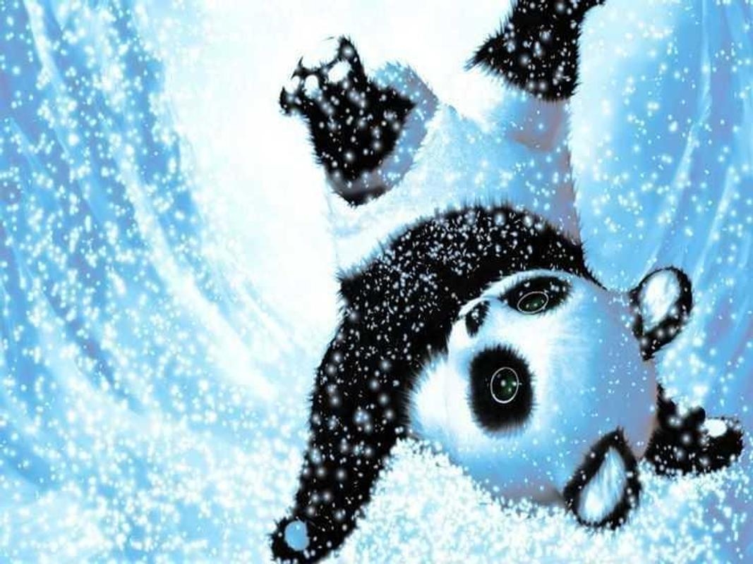 1070x800 Cute Baby Panda Wallpaper, Desktop
