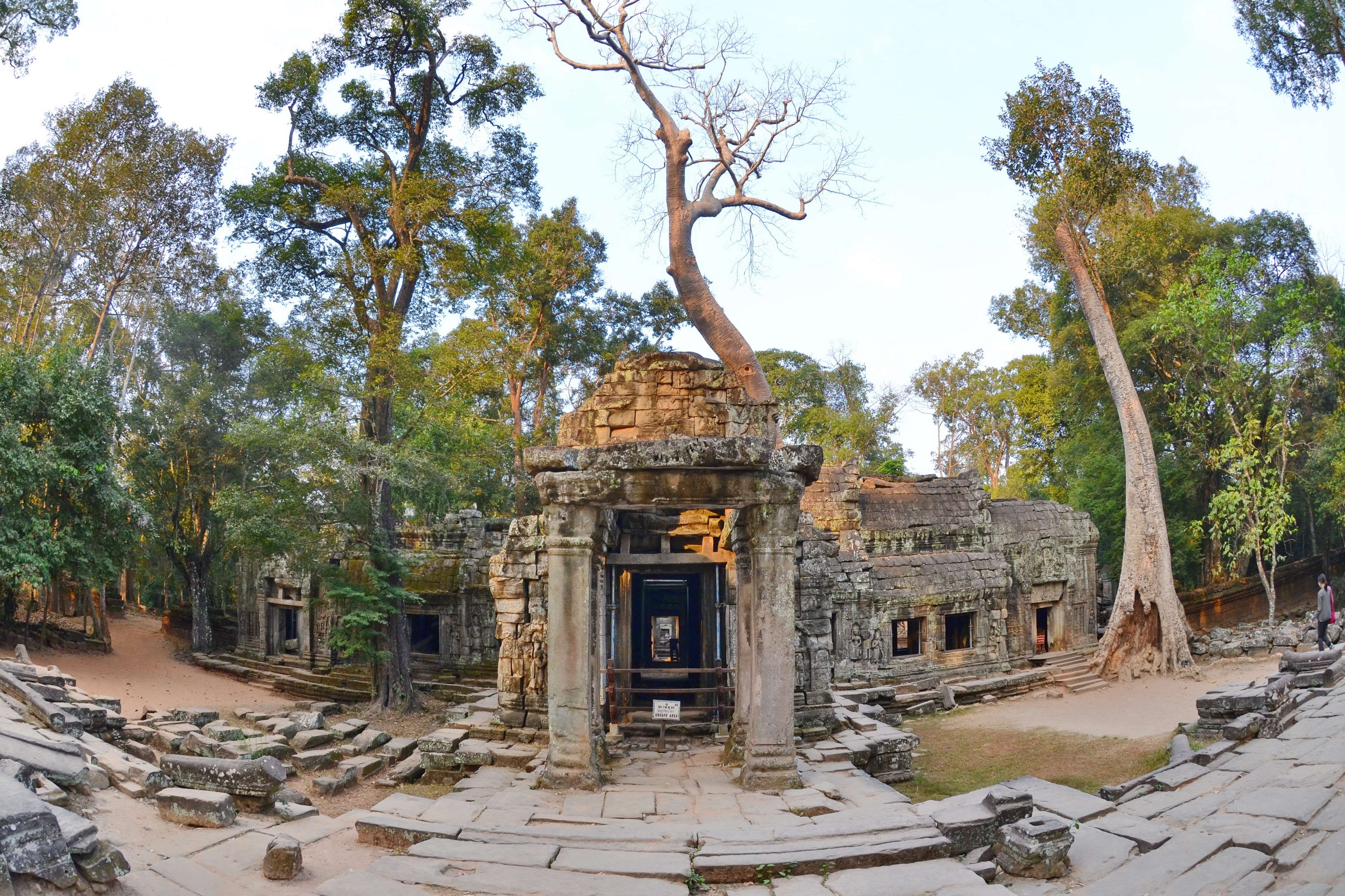 3840x2560 angkor, cambodia, khmer empire, siem reap, ta prohm, temple 4k, Desktop