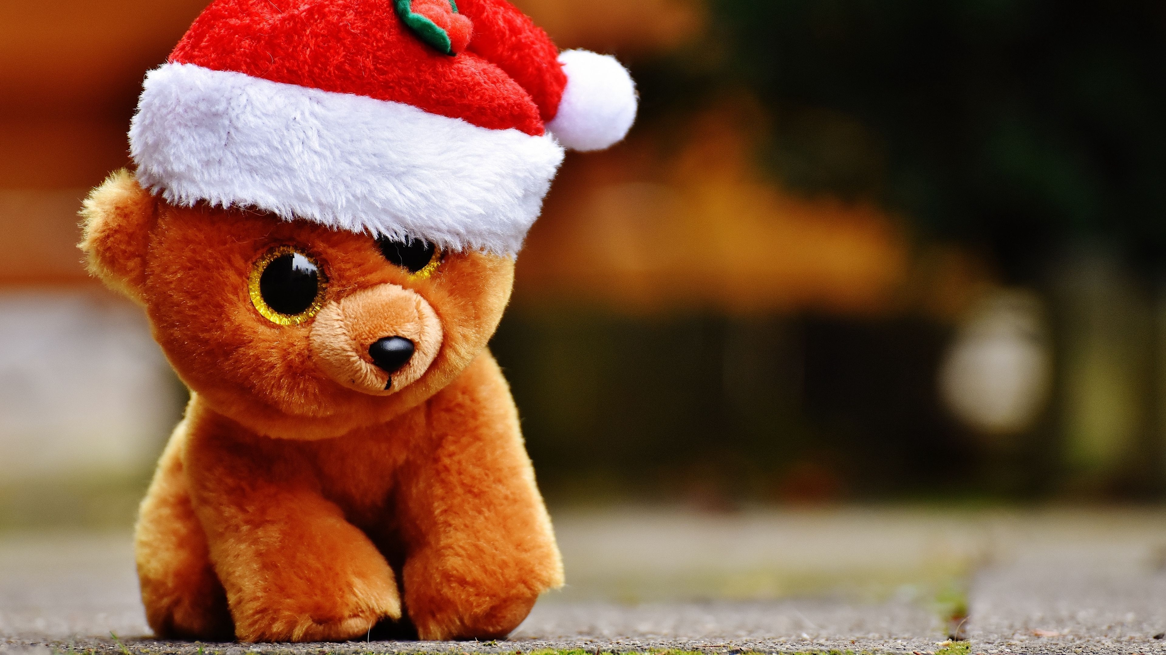 3840x2160 toy, teddy bear, christmas 4k toy, teddy bear, Christmas. Teddy day, Happy teddy day image, Teddy bear image, Desktop