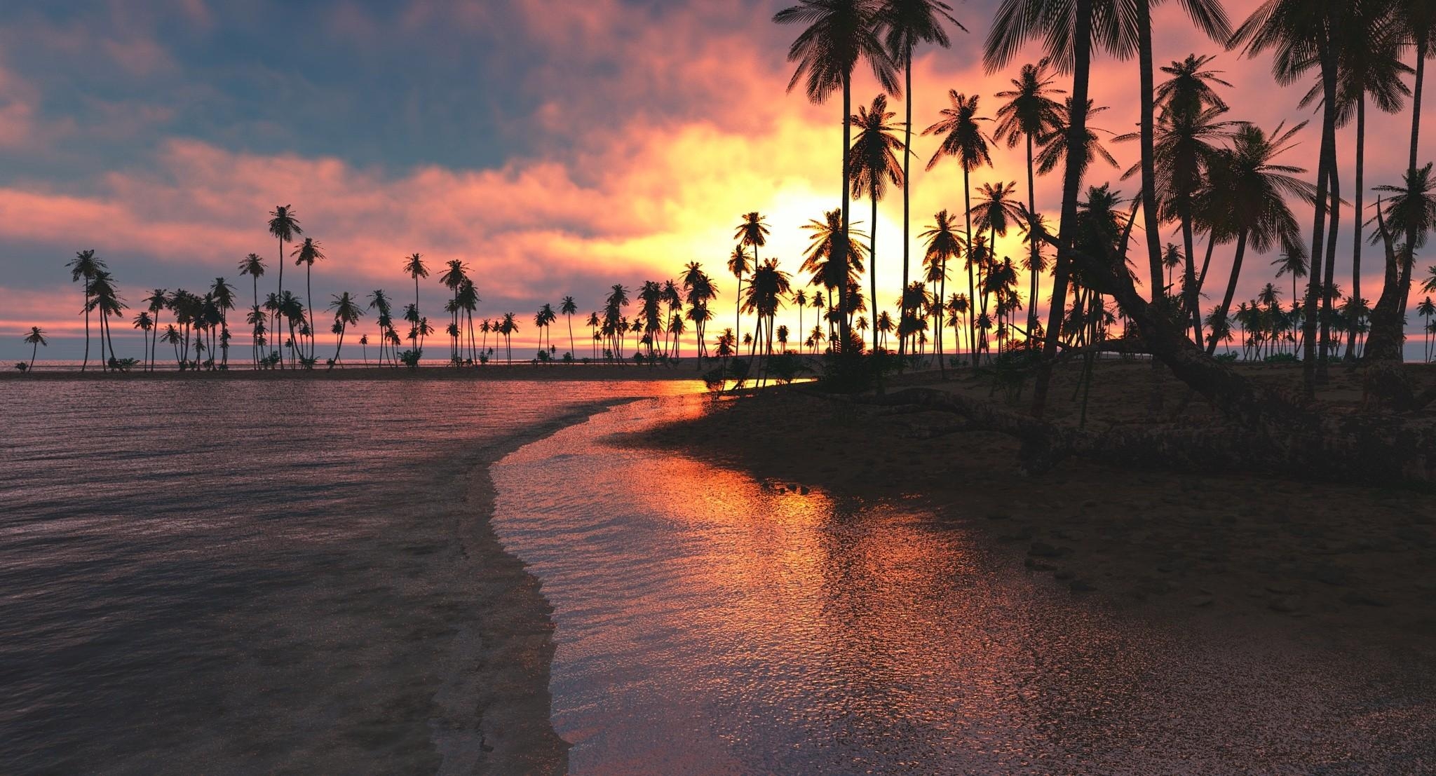 2050x1110 Palm Trees Sunset Sea, HD Nature, 4k Wallpaper, Image, Background, Desktop