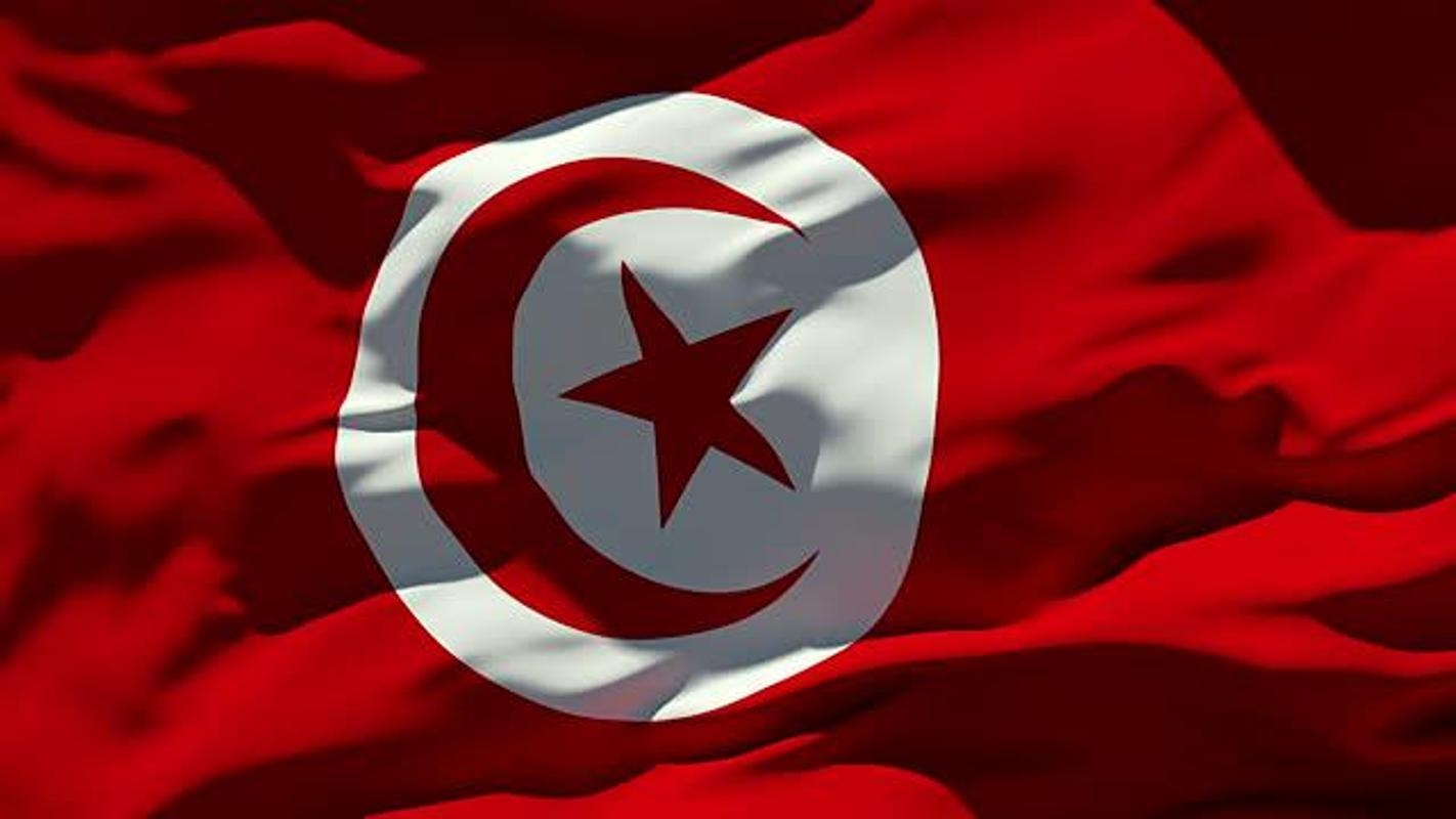 1430x800 Tunisia Flag Wallpaper for Android, Desktop