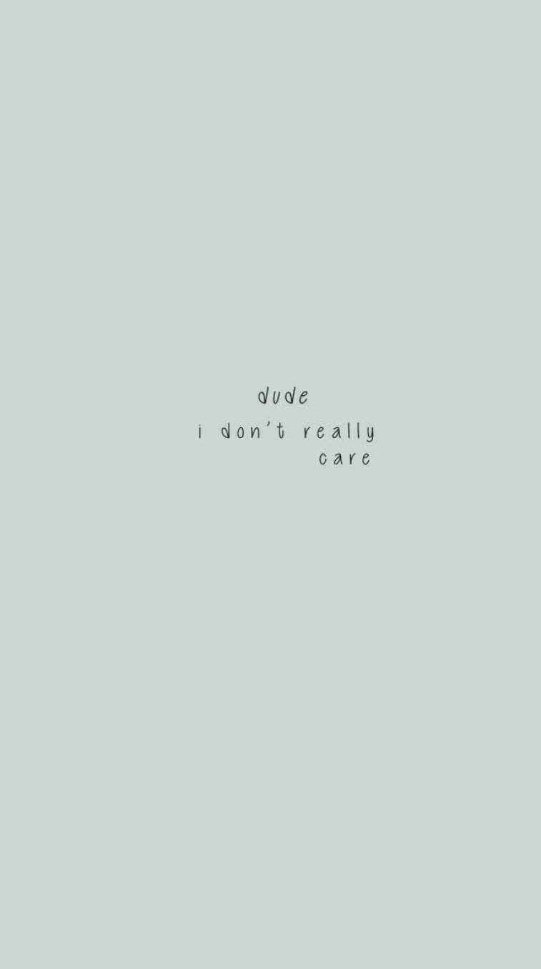 760x1360 Dude! I don't really care Wallpaper, iPhone, Phone