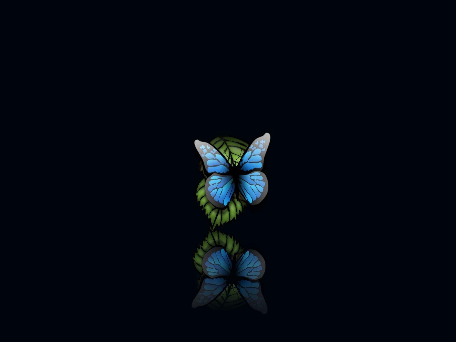 1600x1200 Butterfly wallpaper HD with beauty, butterfly wallpaper image, Desktop