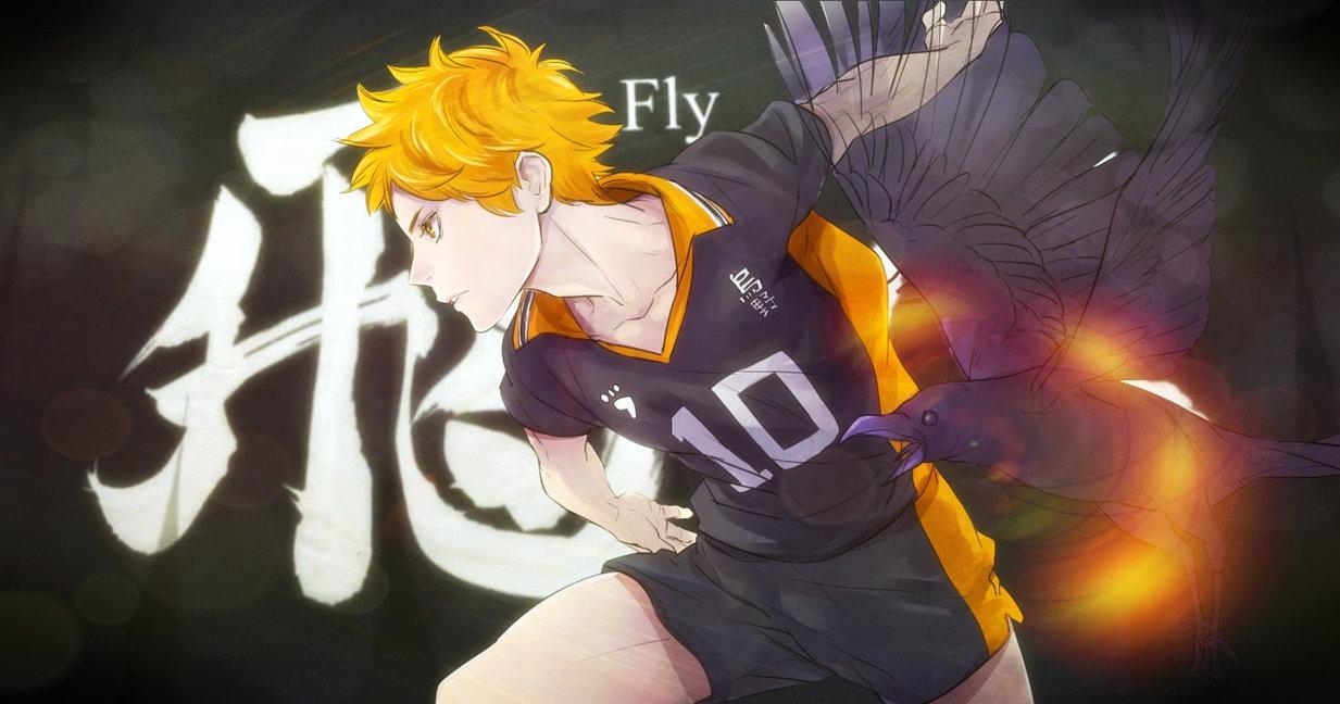 1240x650 Haikyuu Wallpaper Fly, Desktop