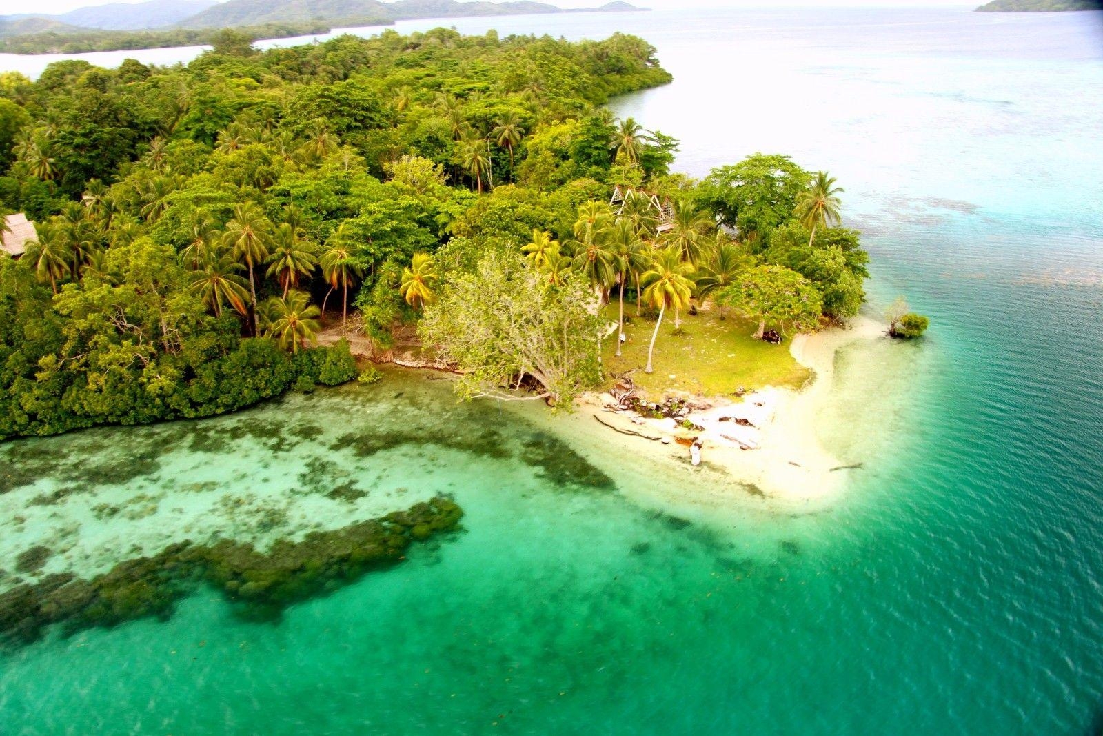 1600x1070 Beaches: Tavanipupu Palm Paradisiac Island Turquoise Beach Islands, Desktop