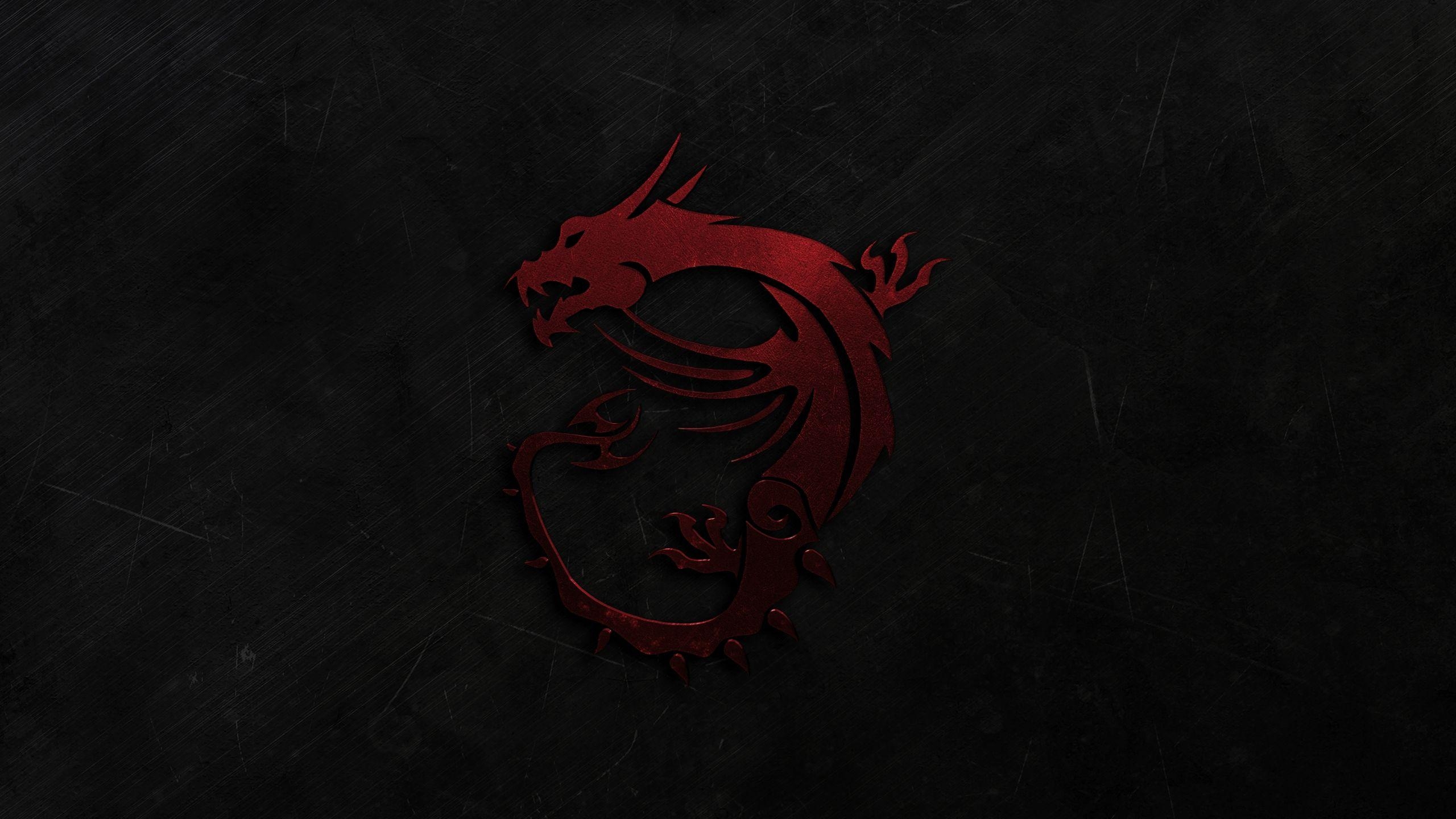 2560x1440 Msi Gaming Wallpaper Download Labzada Wallpaper, Desktop