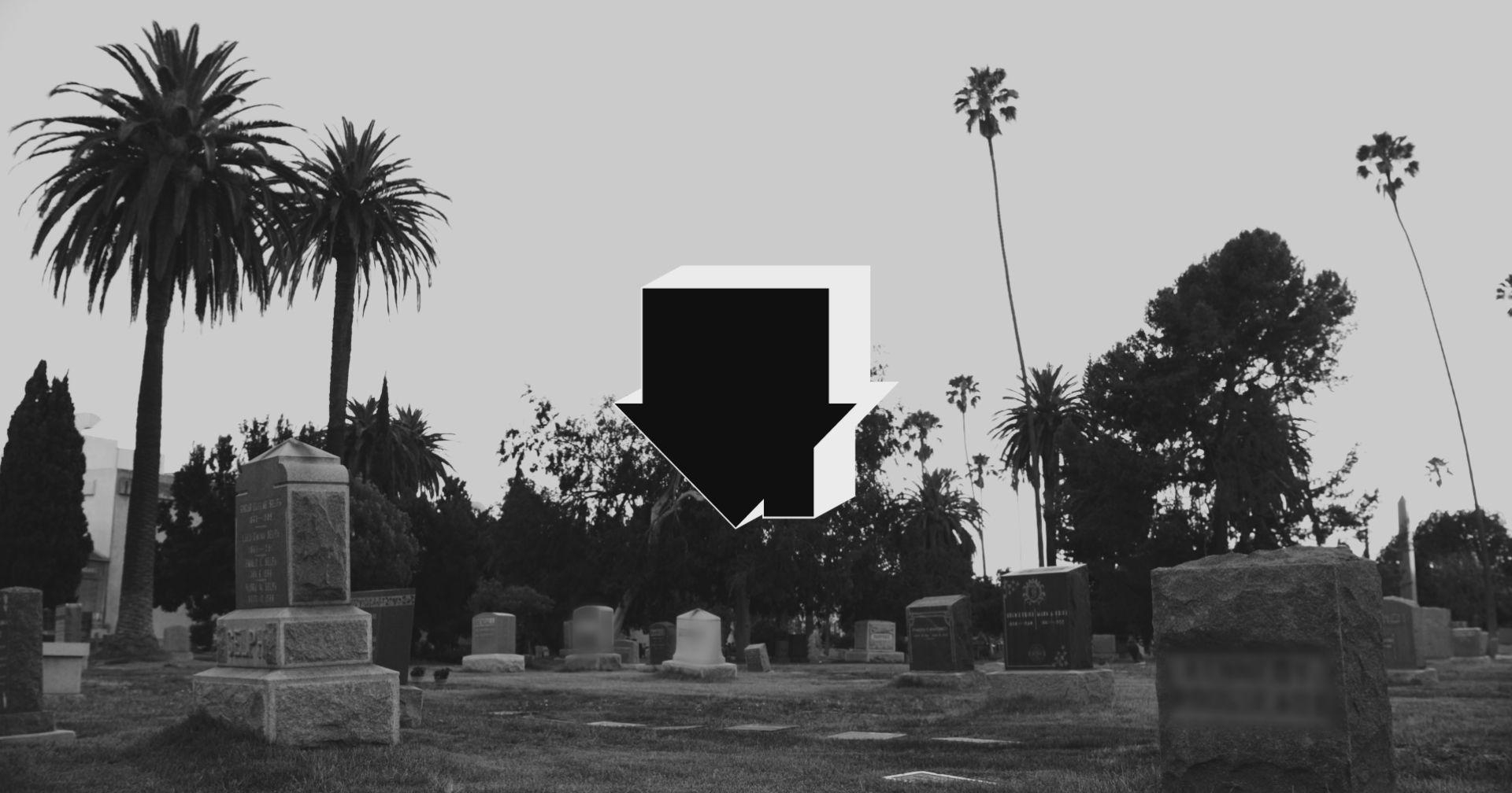 1920x1010 R.I.P. 2 My Youth [Audio] Video, Desktop