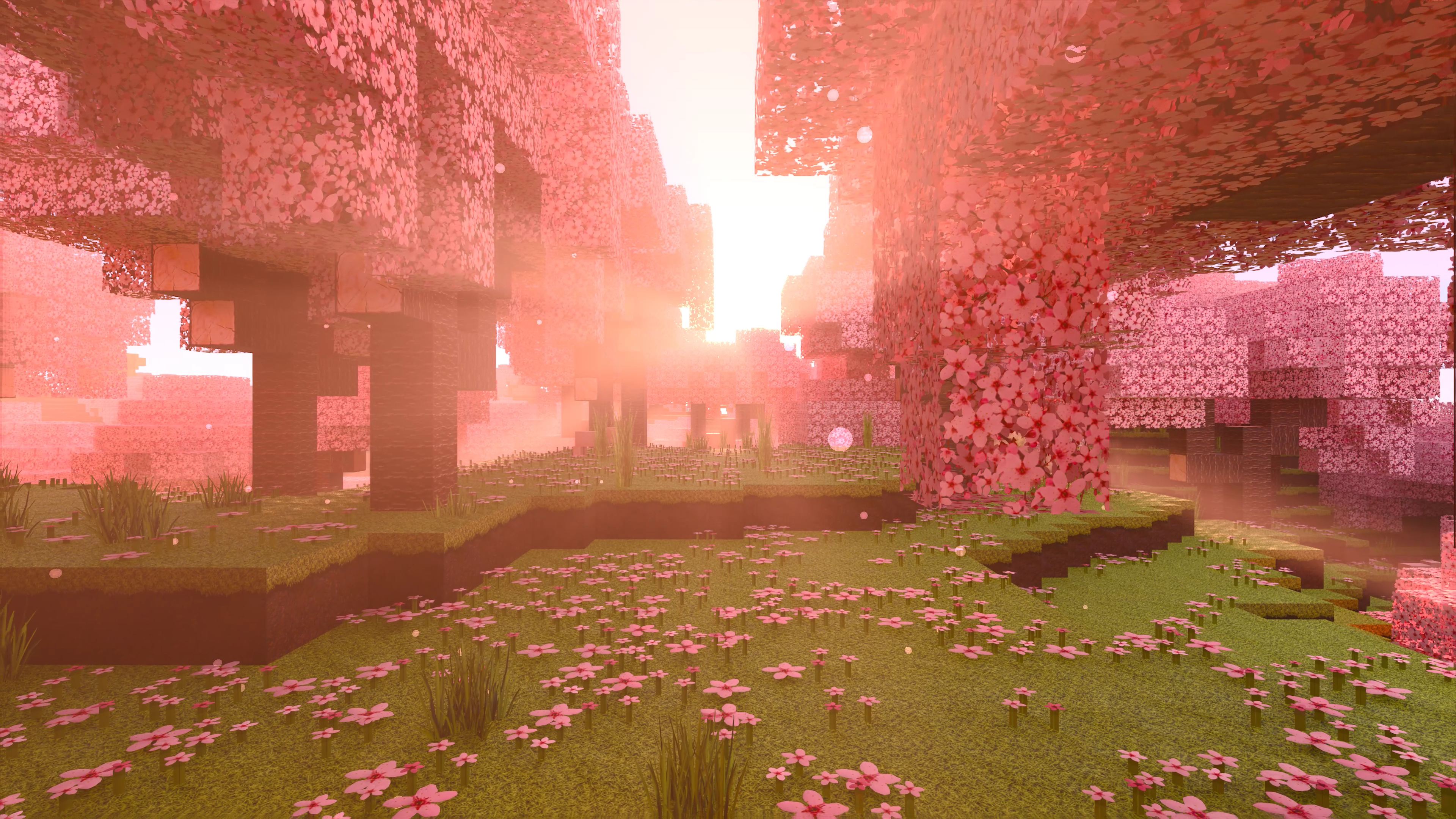 3840x2160 Cherry Blossom biome in HD and RTX, r, Desktop