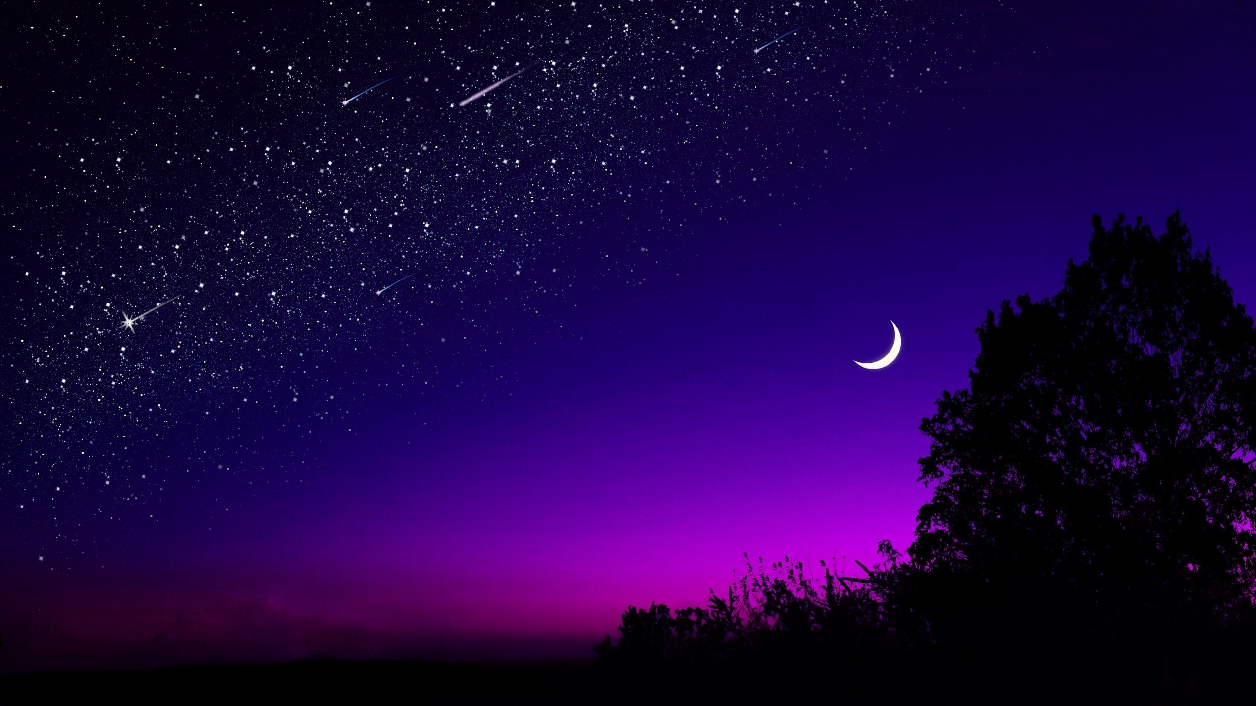 2560x1440 Download wallpaper  moon, tree, starry sky, night, stars, Desktop