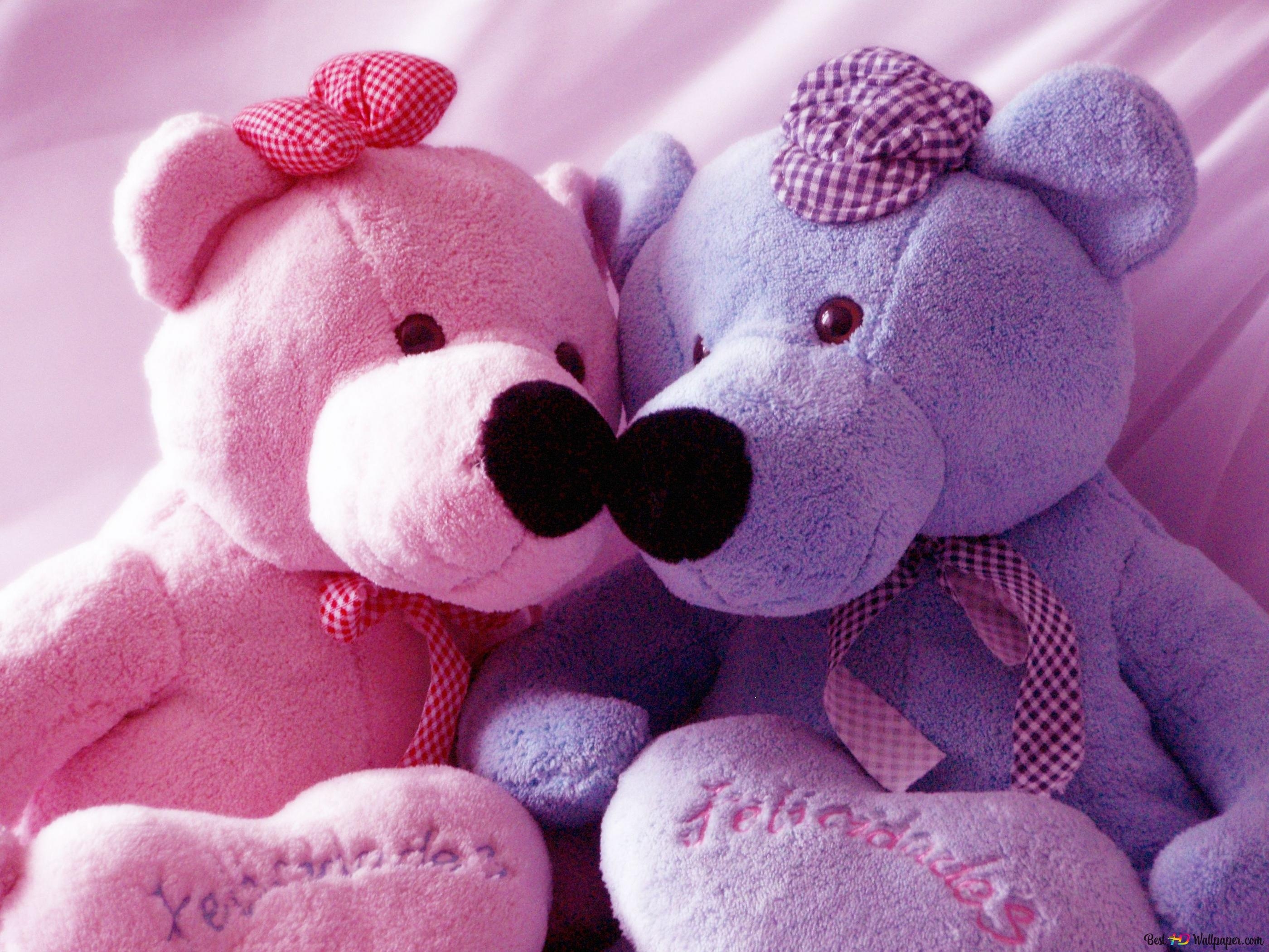 2800x2100 Two cute bears in purple and pink 2K wallpaper download, Desktop