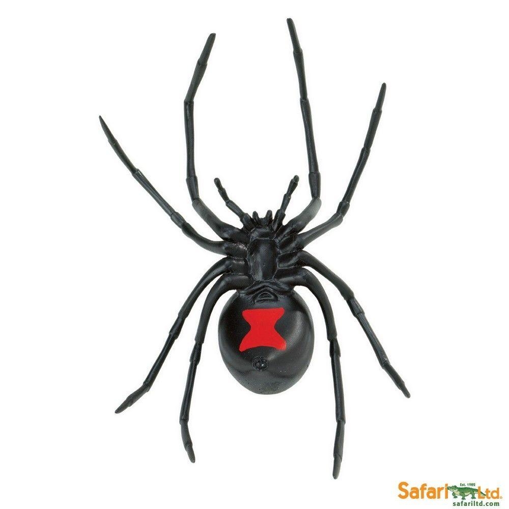 1000x1000 Black Widow Spider, Phone