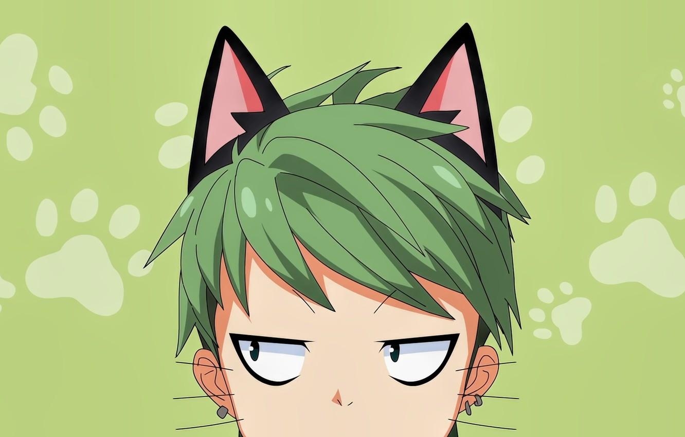 1340x850 Wallpaper green, anime, cat, boy, face, manga, head, Desktop