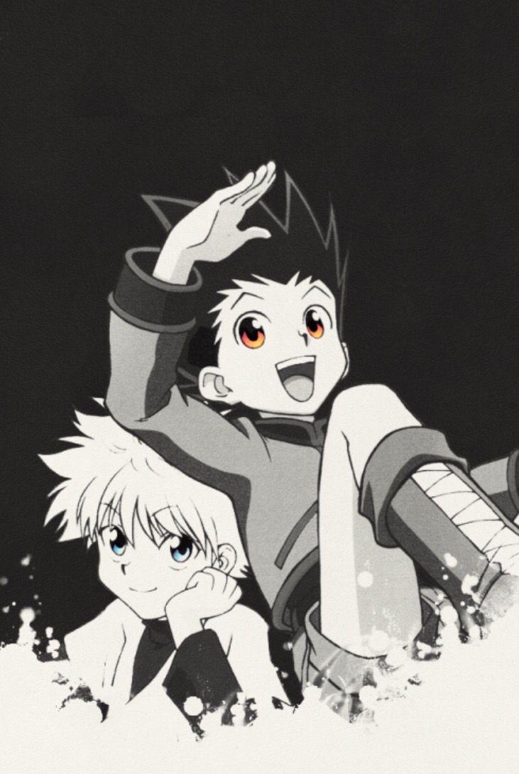 740x1090 Killua and Gon. Hunter anime, Hunter x hunter, Anime, Phone