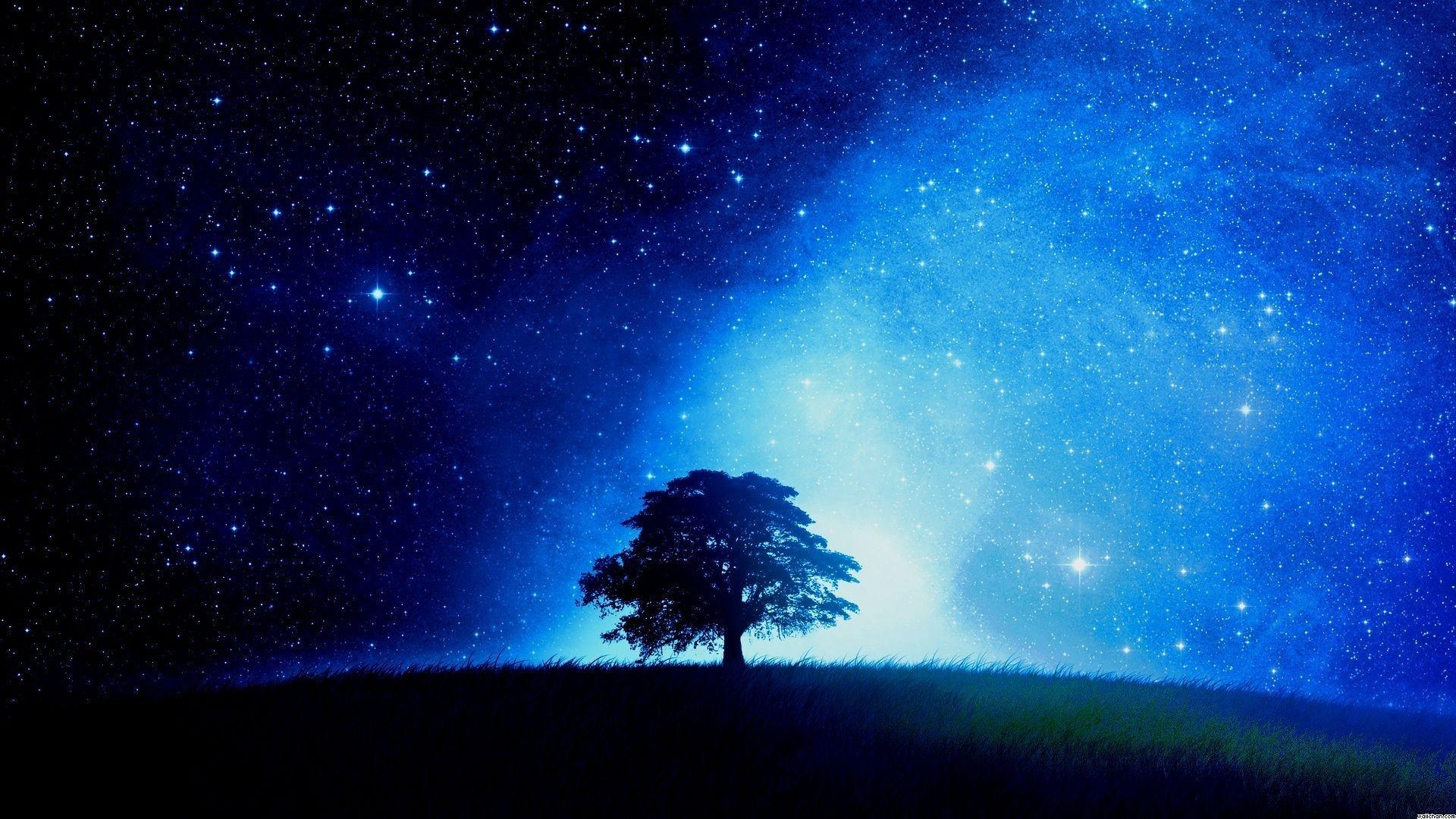 1920x1080 Tree And Stars Background, Desktop