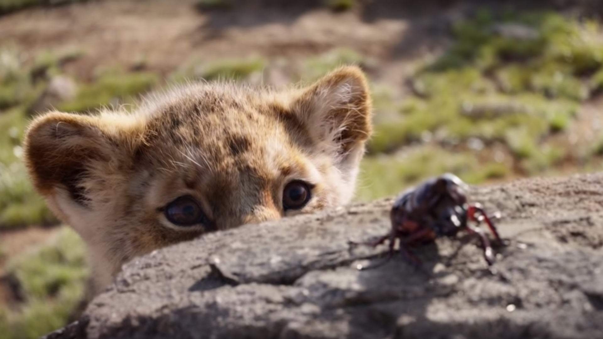 1920x1080 The Official For The Live Action 'Lion King' Has Dropped So, Desktop