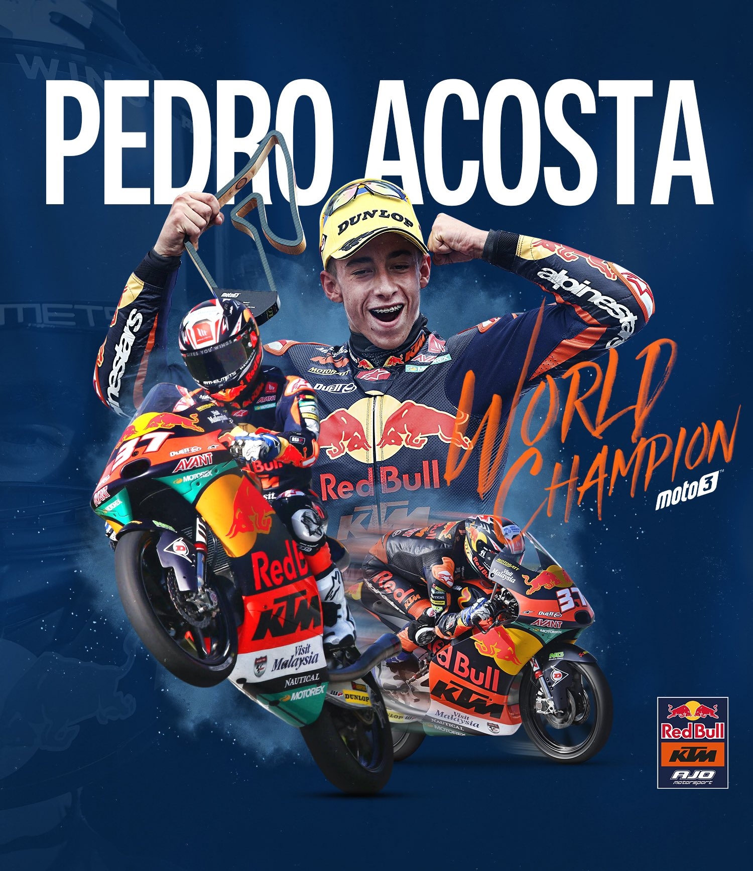 1500x1740 Red Bull KTM Ajo, Phone