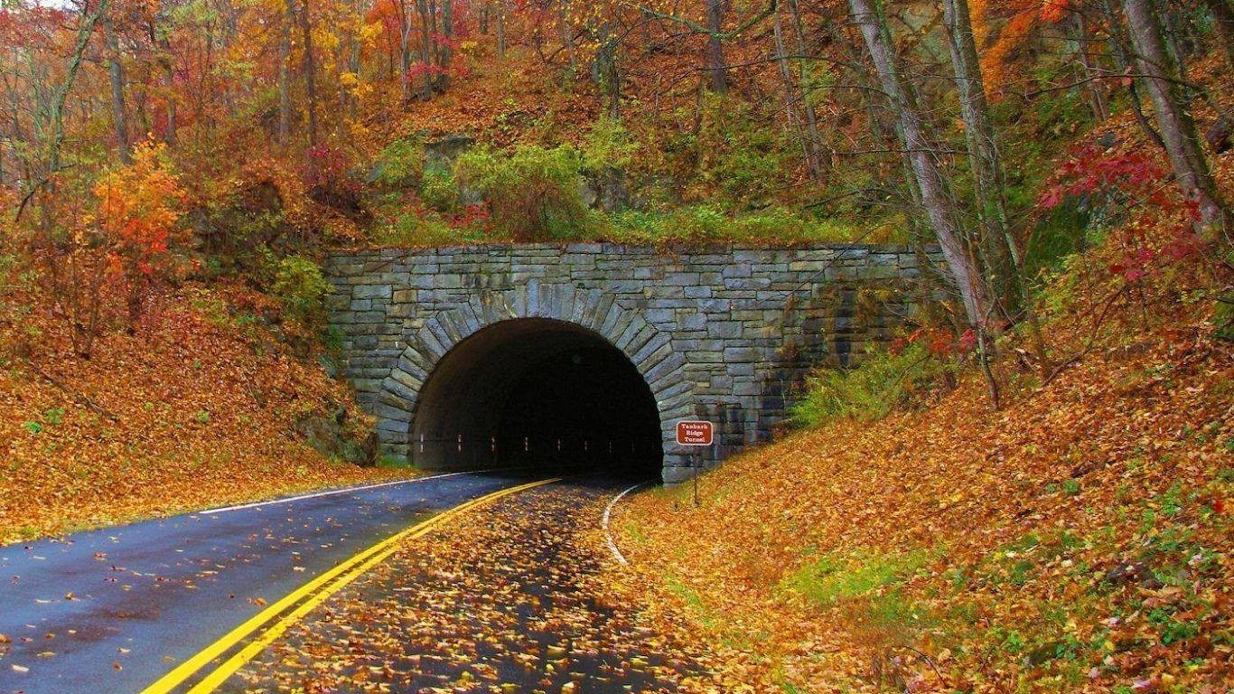 1370x770 Other: Tunnel Blue Ridge Mountains Autumn Colorful Falling Leaves, Desktop