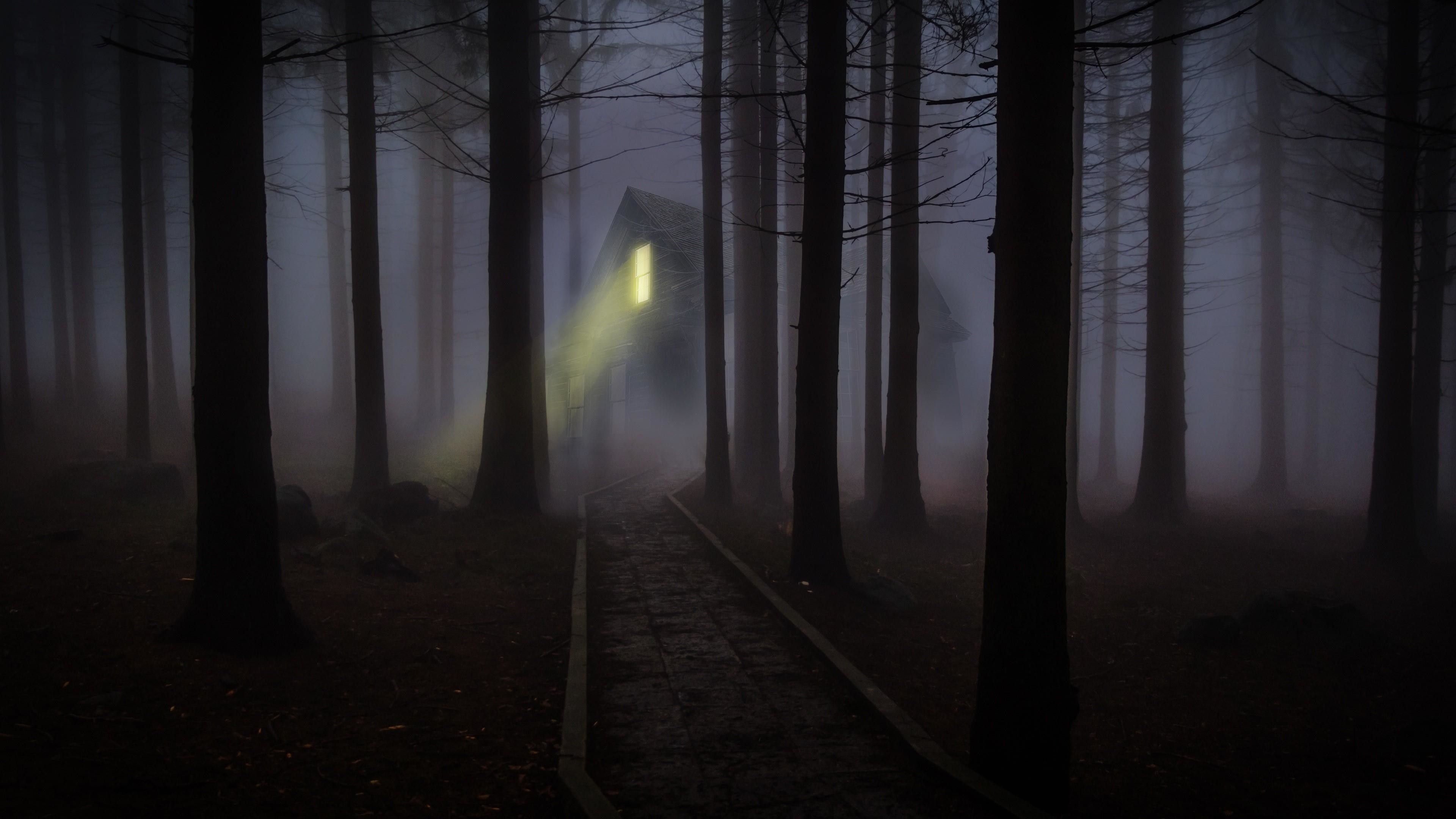 3840x2160 Scary Forest Wallpaper, Desktop