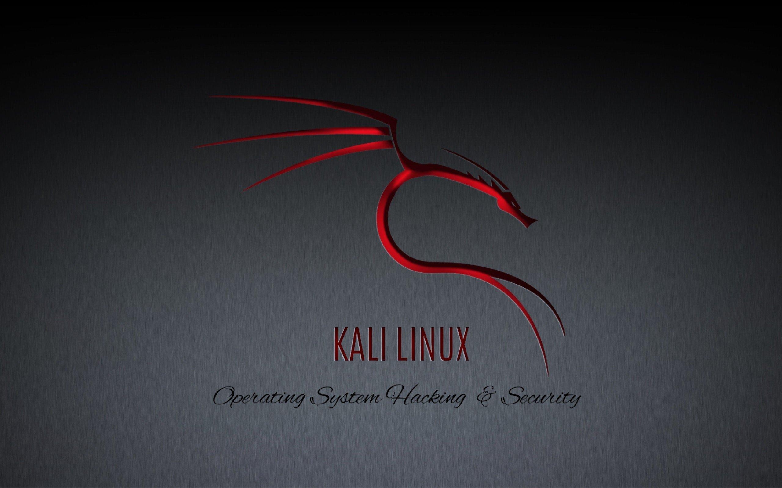 2560x1600 Kali Linux NetHunter HD Wallpaper Desktop Image, Desktop