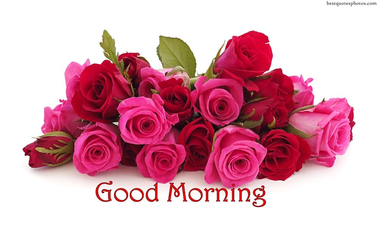 1280x770 Flower Image With Good Morning. Good Morning Wallpaper With, Desktop