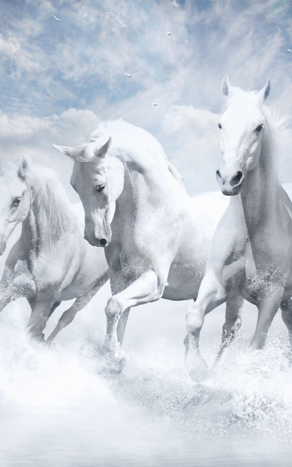 1000x1600 White Horses Mobile Wallpaper, Phone