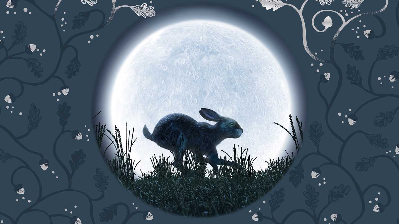 1600x900 Everything you need to know about Watership Down, Desktop