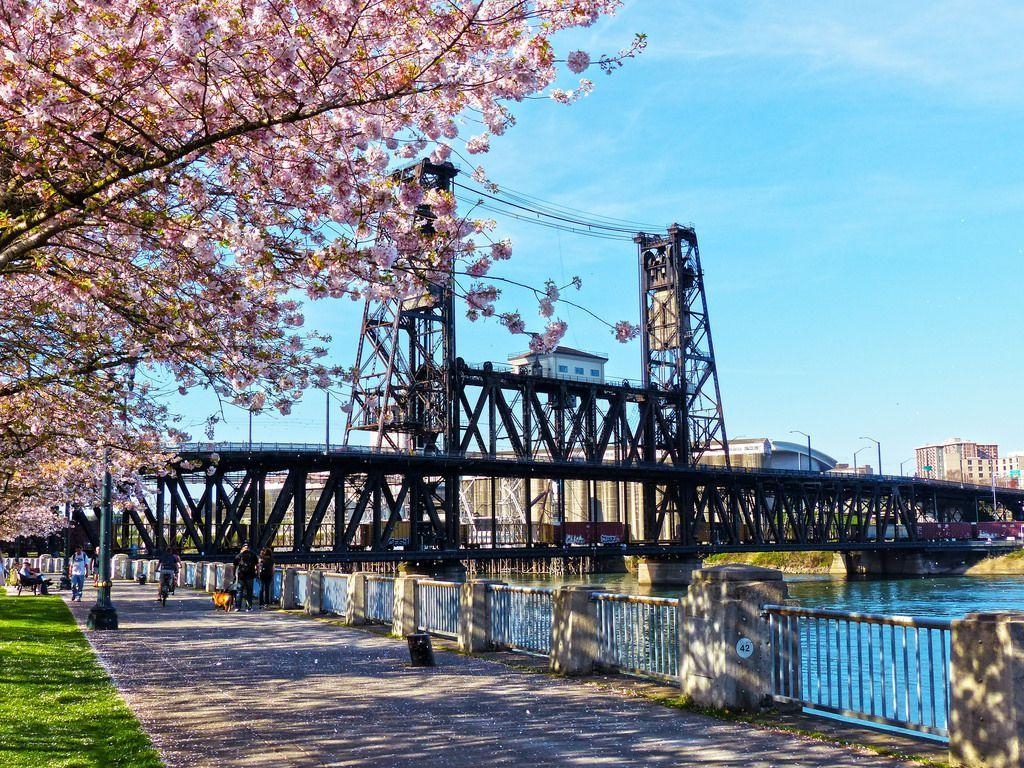 1030x770 Steel Bridge Portland, Desktop