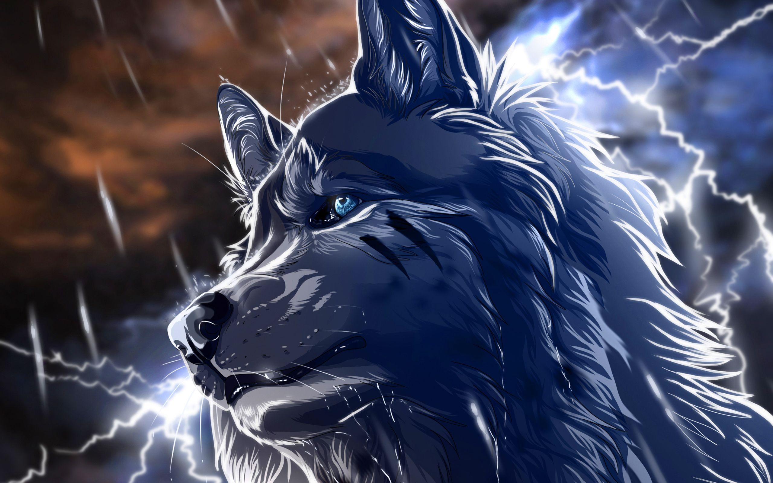 2560x1600 Wolf Wallpaper 43 Best Wolf Wallpaper, Desktop